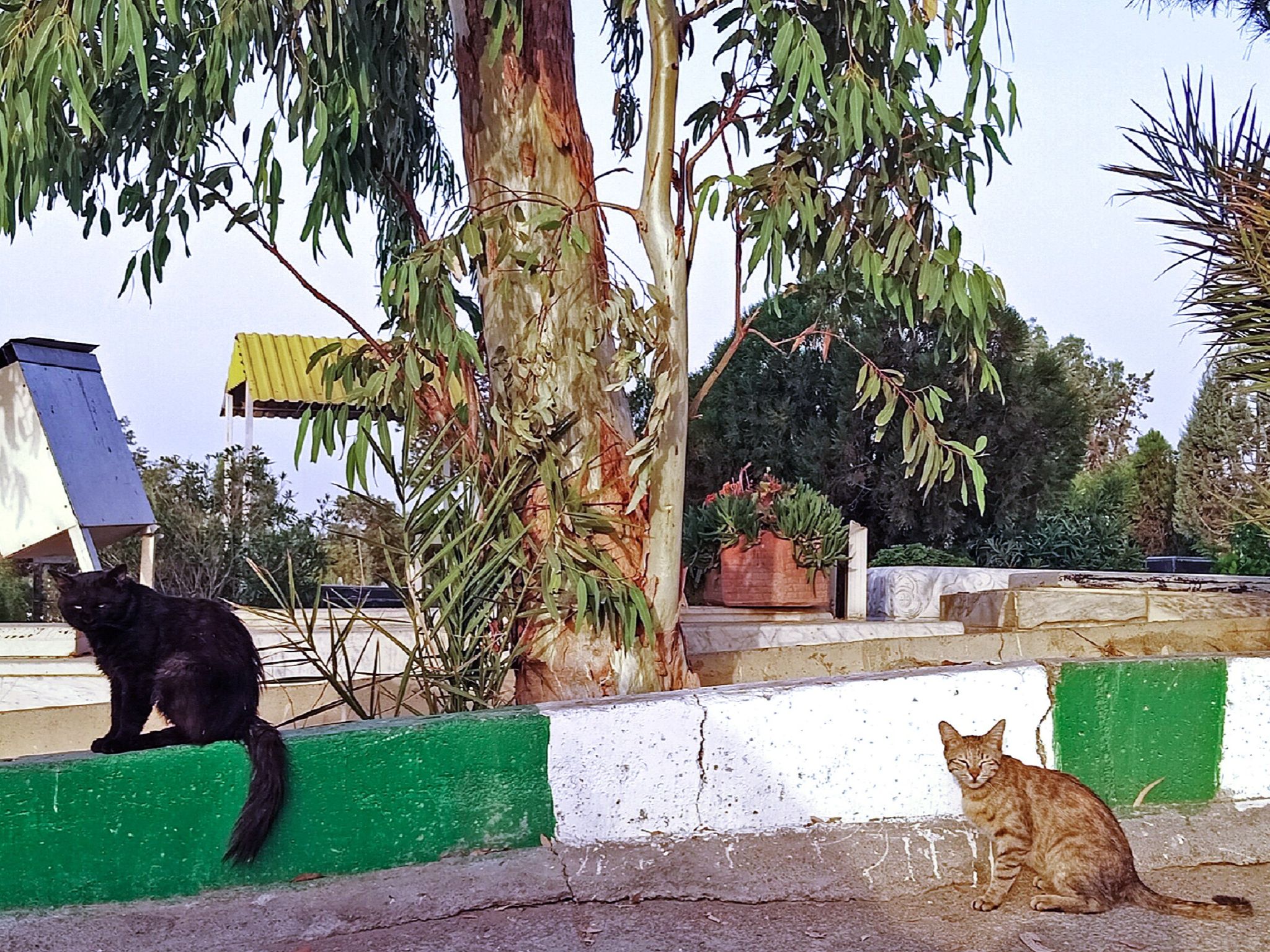 Community photo by Hassan