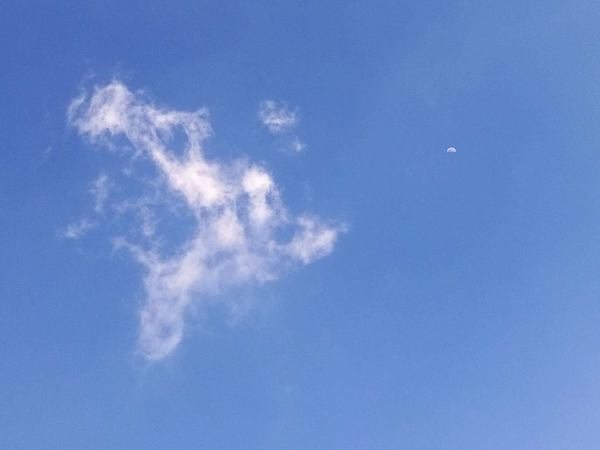 Community photo by Hassan Dadashi Arani | Esfahan. Iran