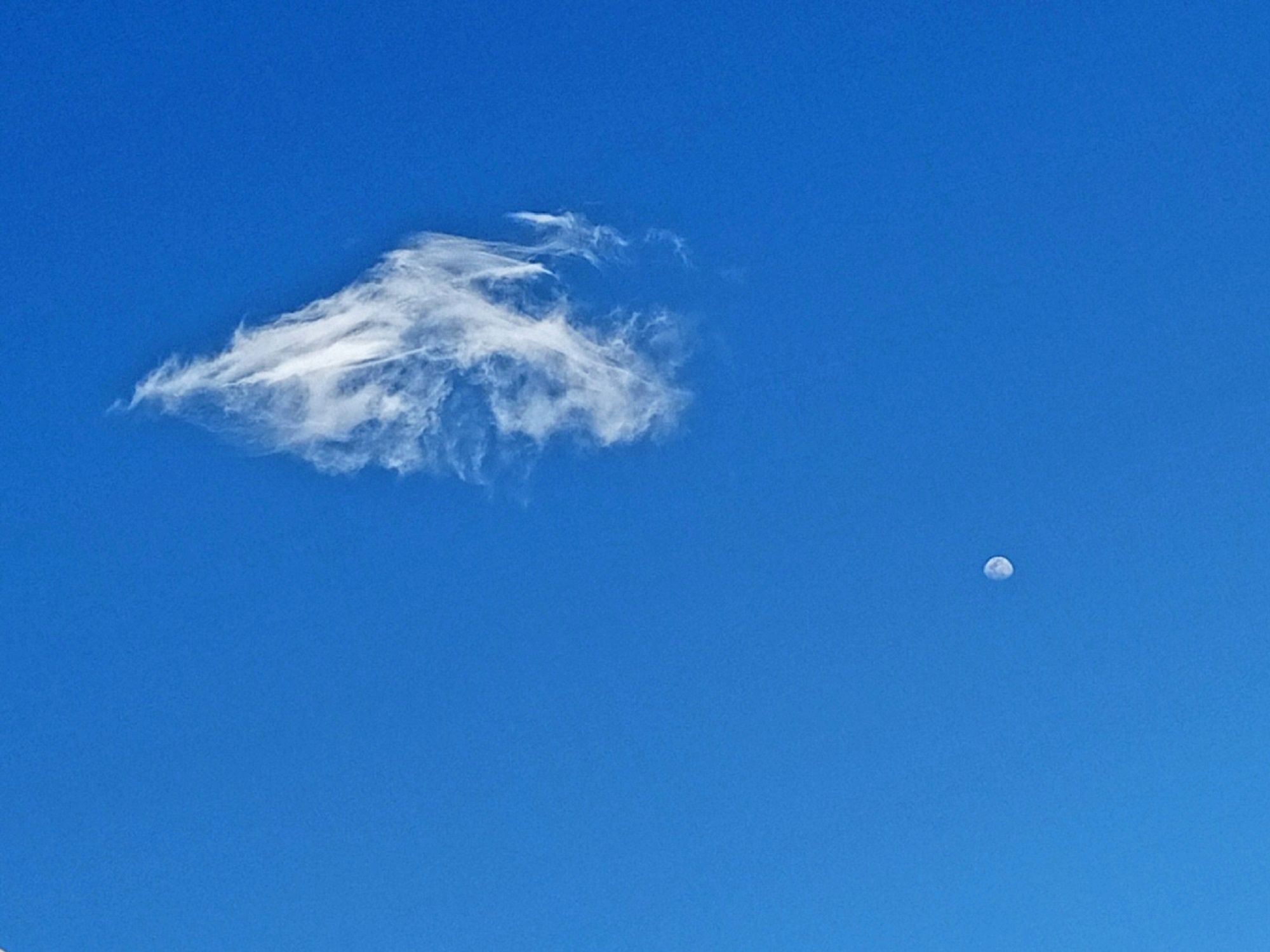 Community photo by Hassan