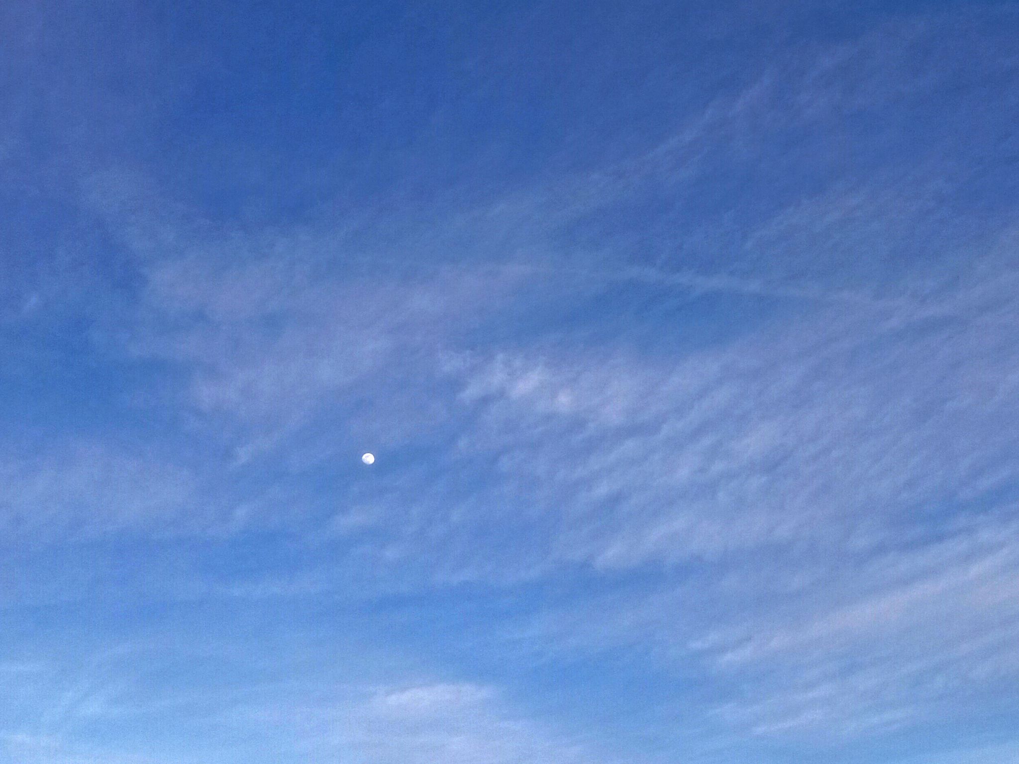 Community photo by Hassan