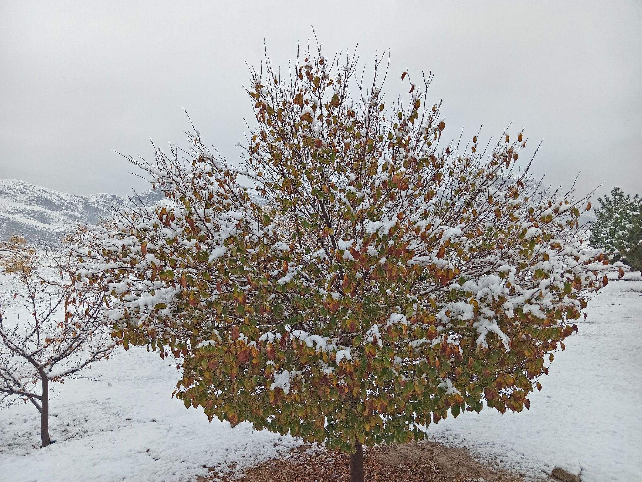 Community photo by Hassan