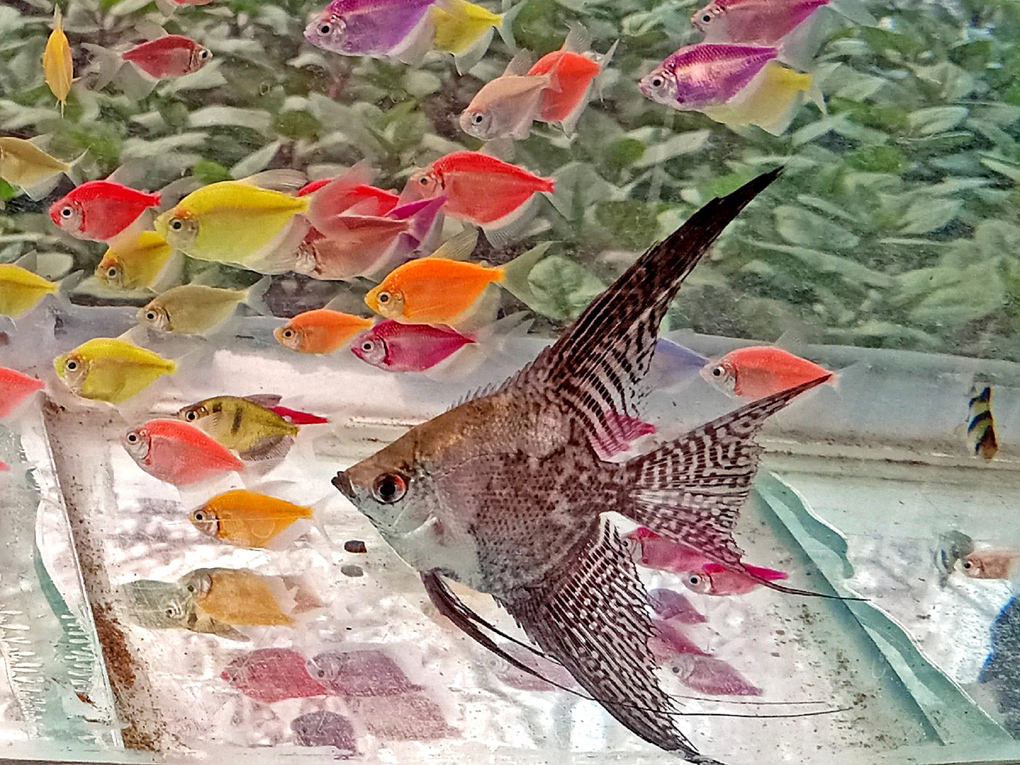 Community photo by Hassan