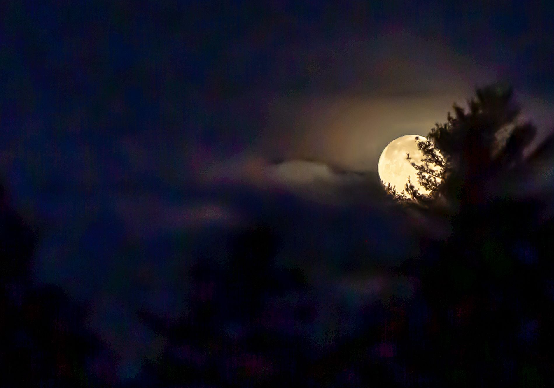 Community photo by Maria Cruz | South China, Maine