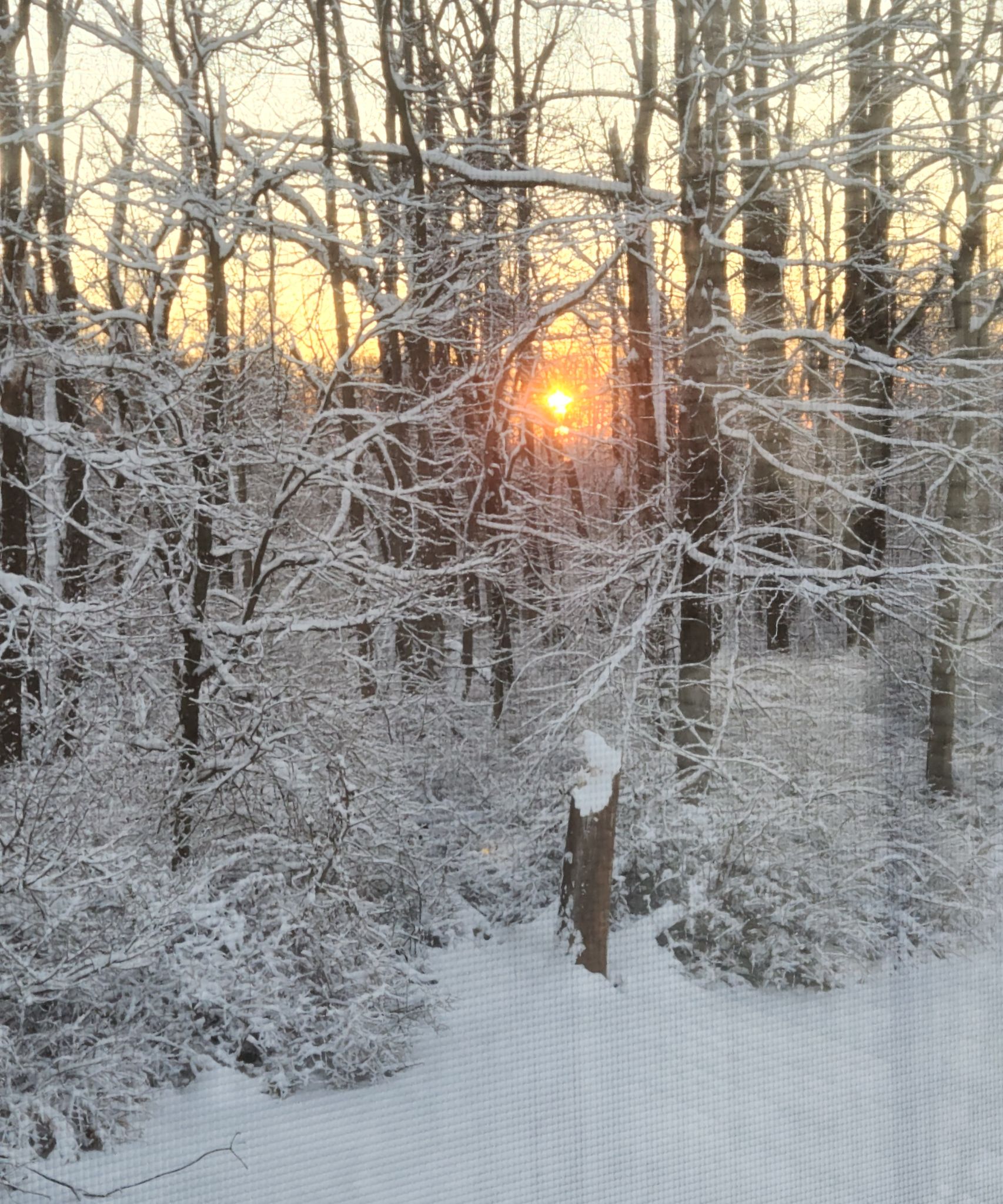 Community photo by Karen