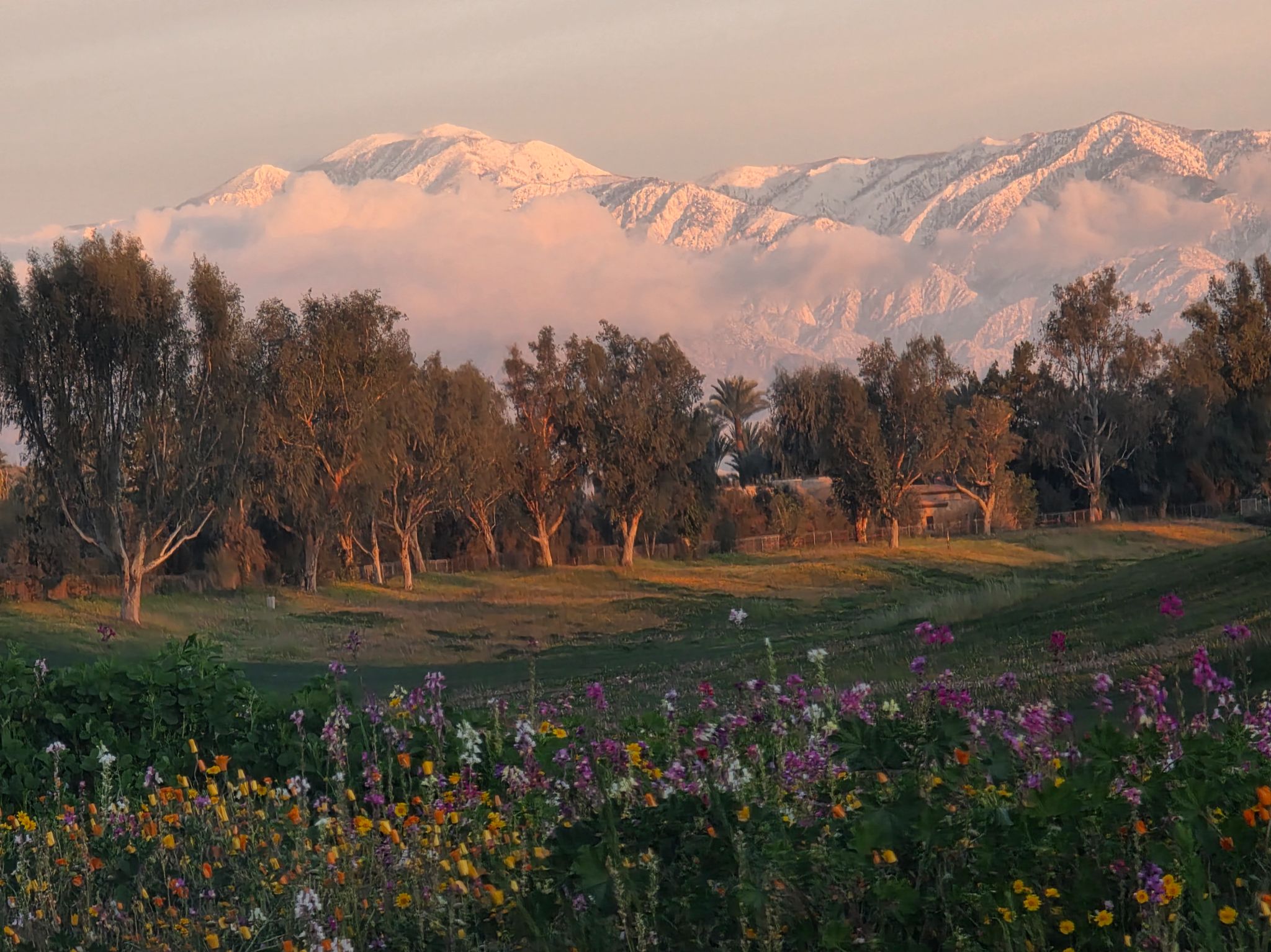 Community photo by Judy