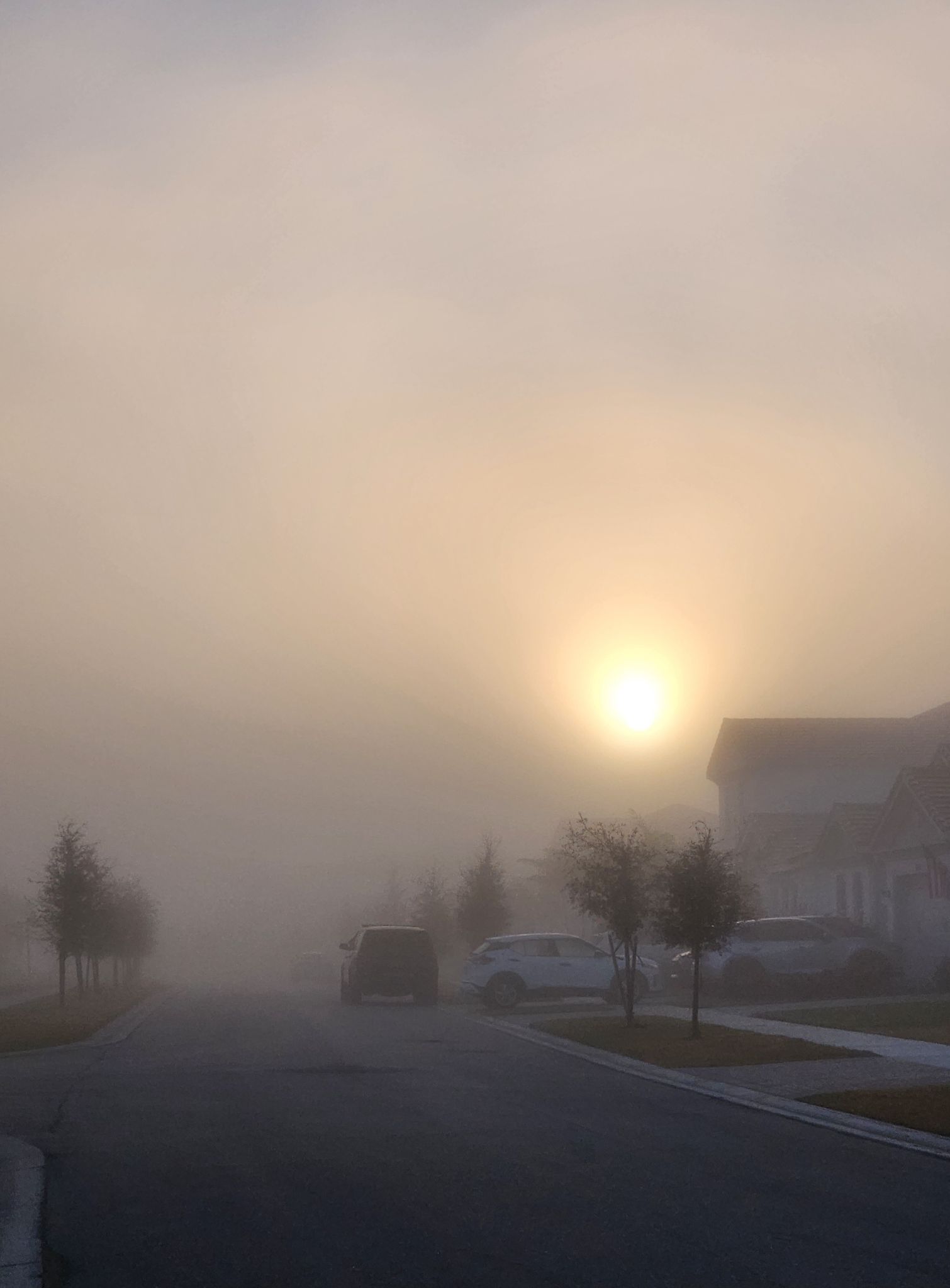 Community photo by Jo-Ann Hem Lee | Westlake Florida