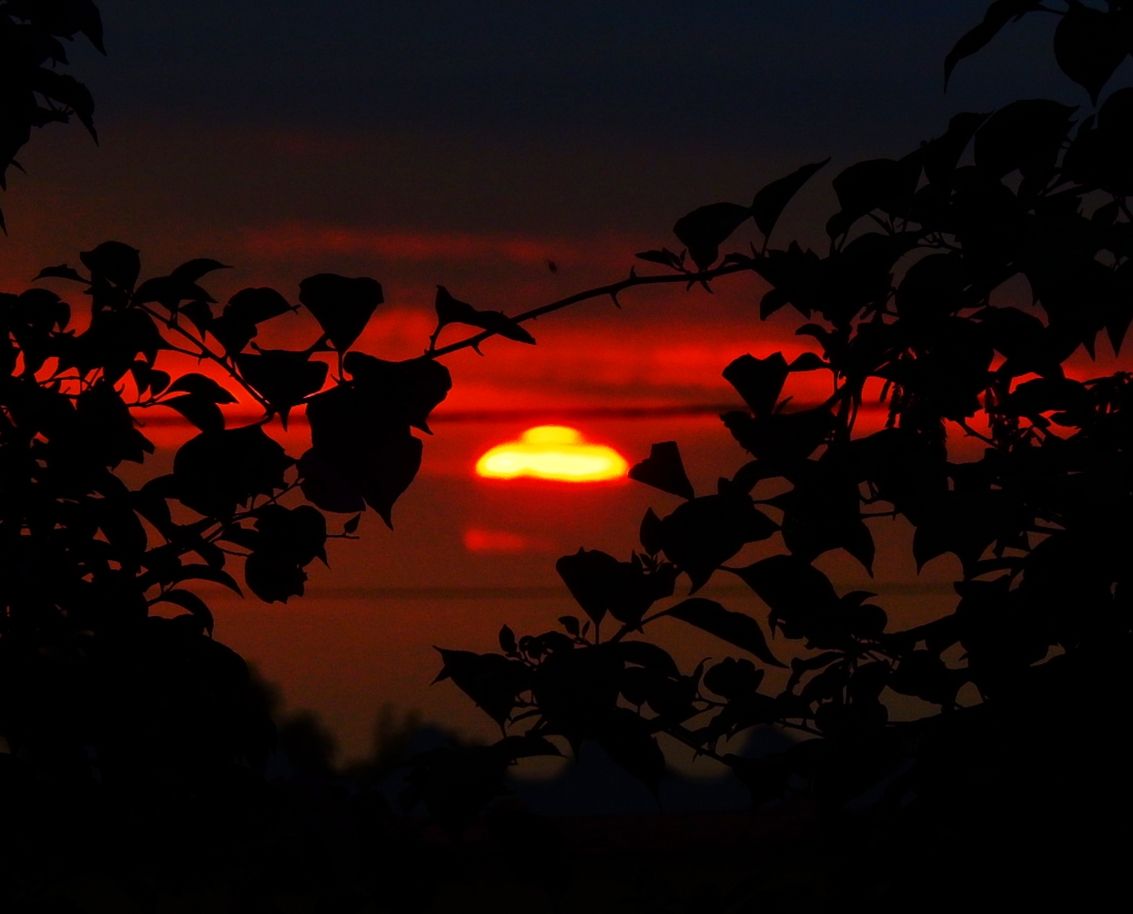 Community photo by Helio de Carvalho Vital | Saquarema, Rio de Janeiro, Brazil