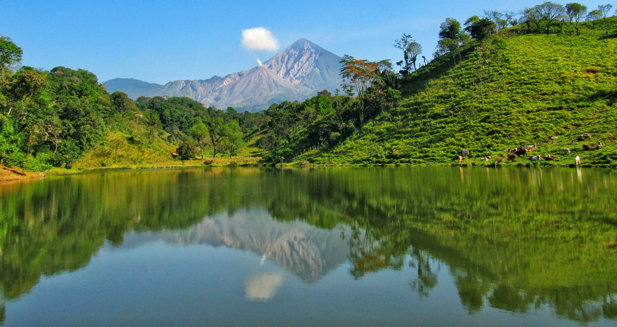 Community photo by Adolfo