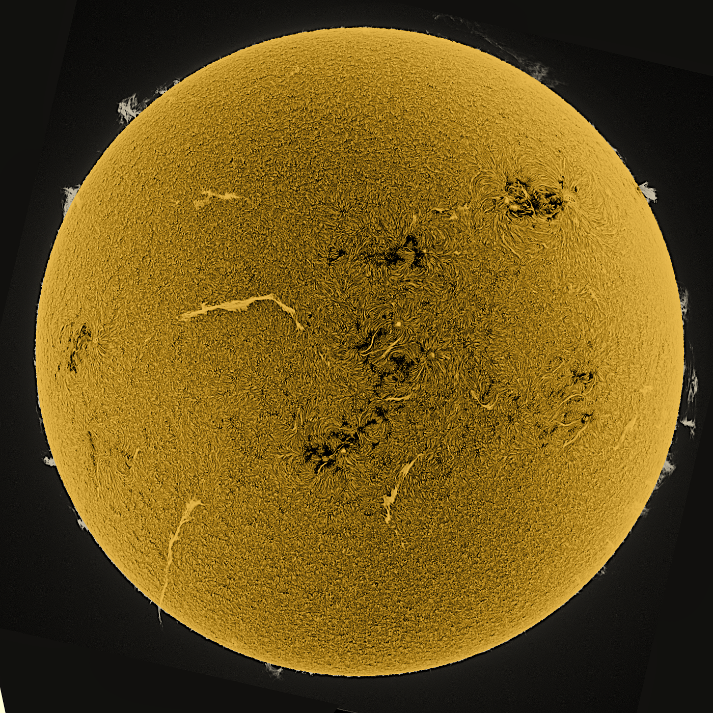 Community photo by Anthony Faulkner | Tucson, AZ.