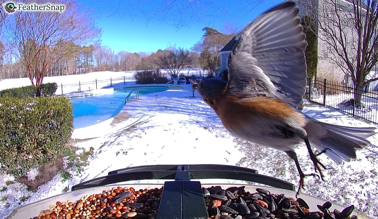 Community photo by Mark