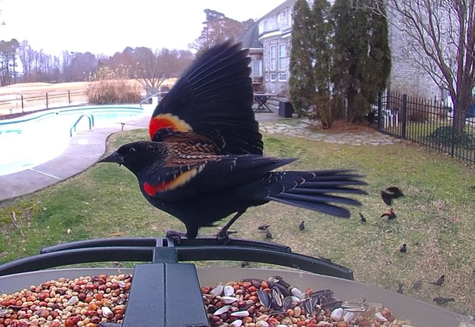 Community photo by Mark Wralstad | Virginia Beach, VA, USA