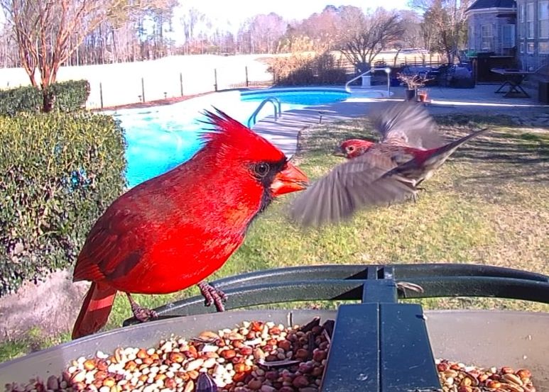 Community photo by Mark