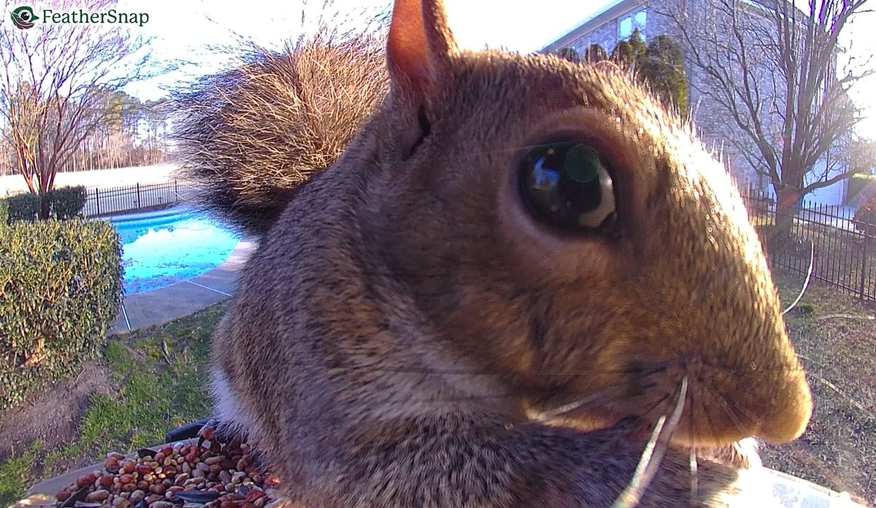 Community photo by Mark Wralstad | Virginia Beach, VA, USA