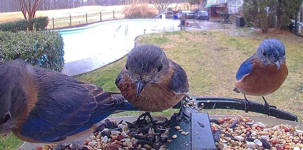 Community photo by Mark