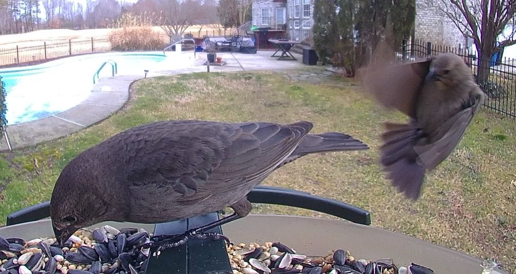 Community photo by Mark