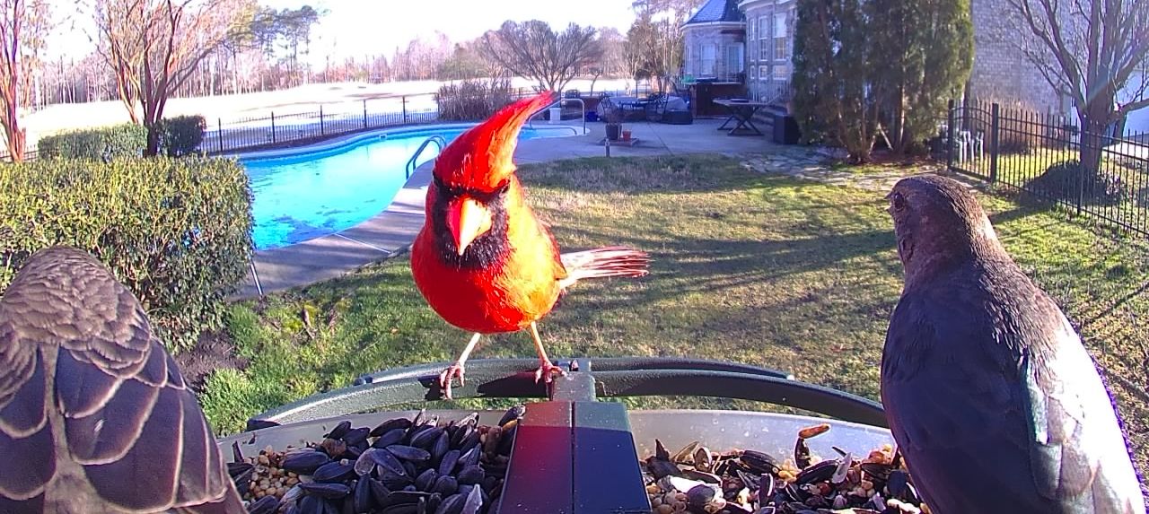 Community photo by Mark