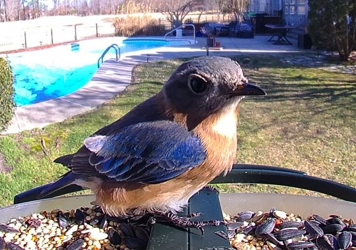 Community photo by Mark