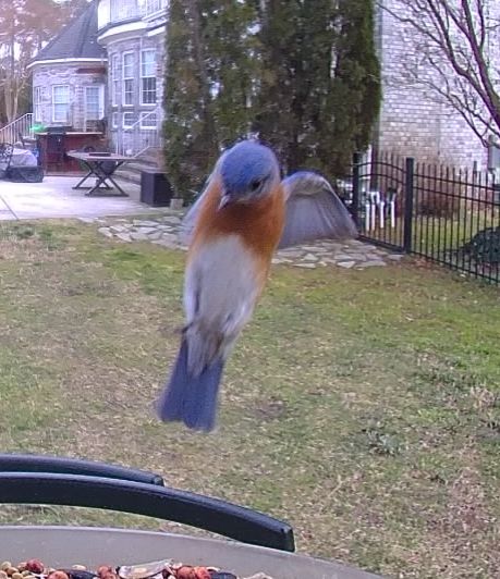 Community photo by Mark