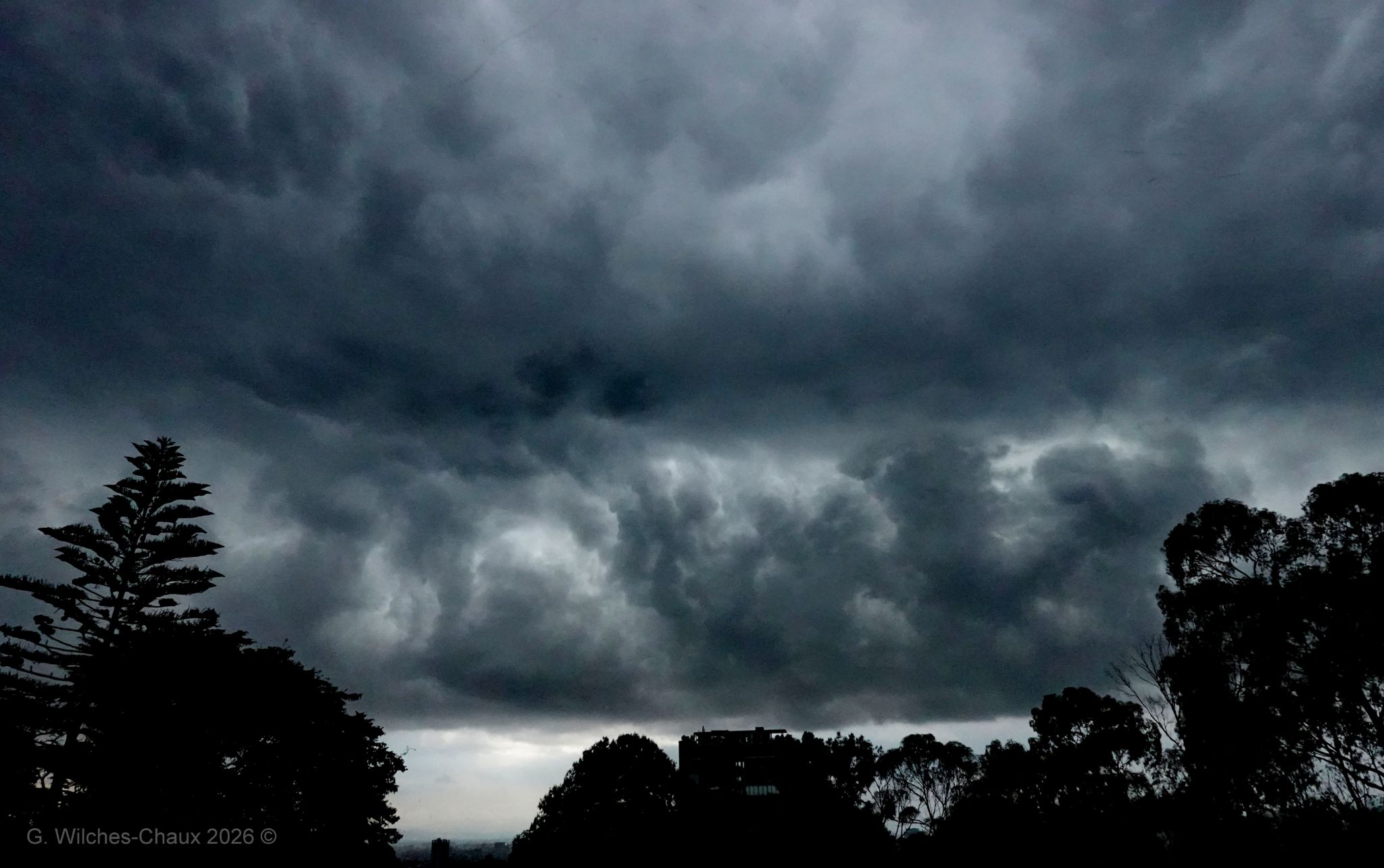 Community photo by Gustavo