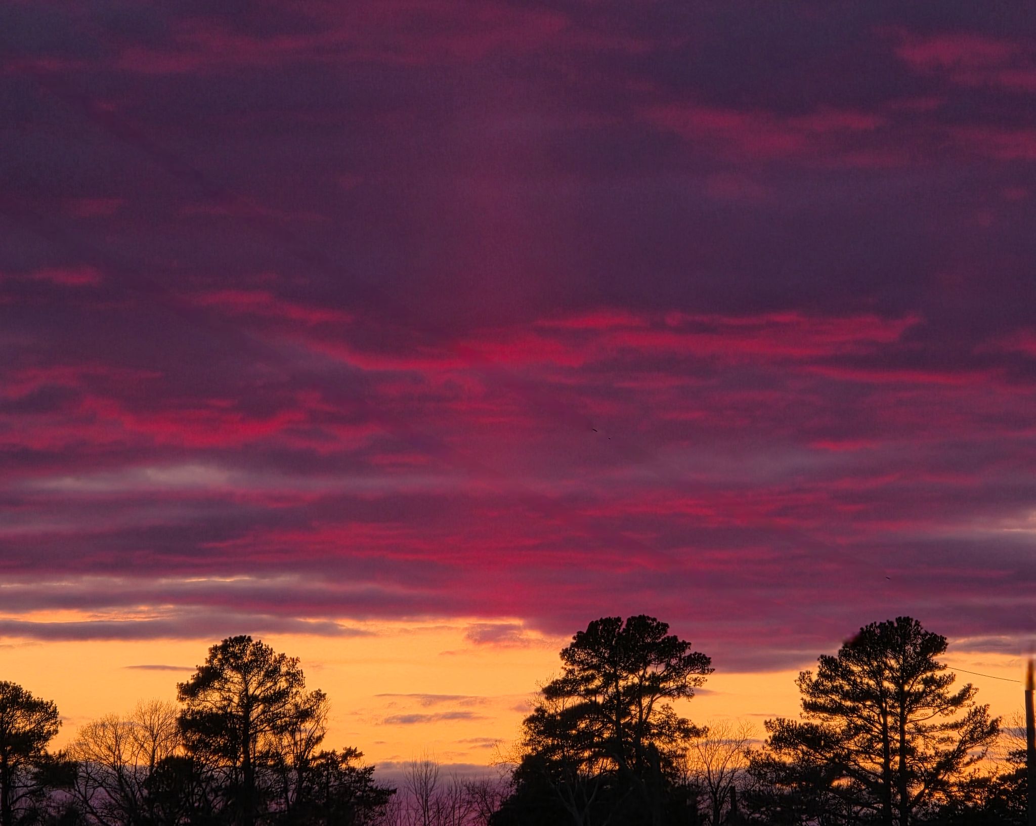 Community photo by Janice