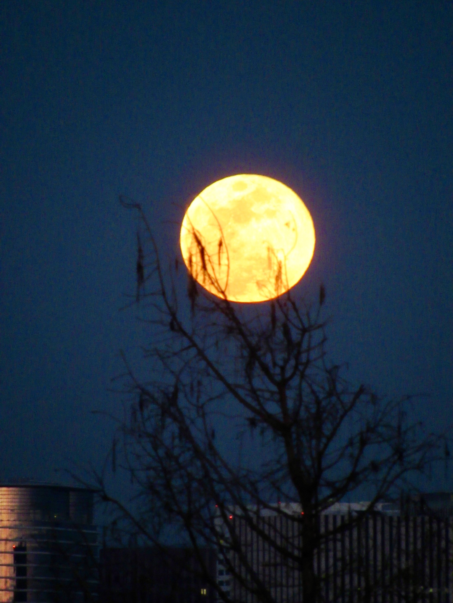 Community photo by N P | Houston, TX