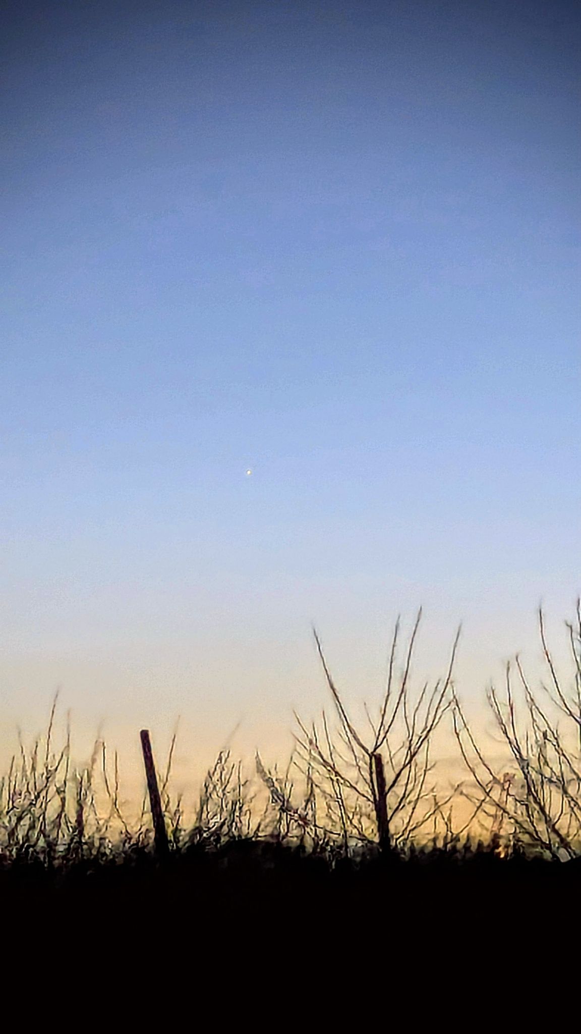 Community photo by Kevan