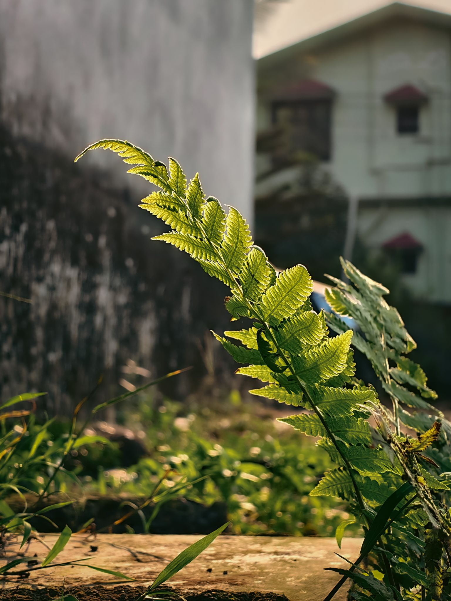 Community photo by Aayan