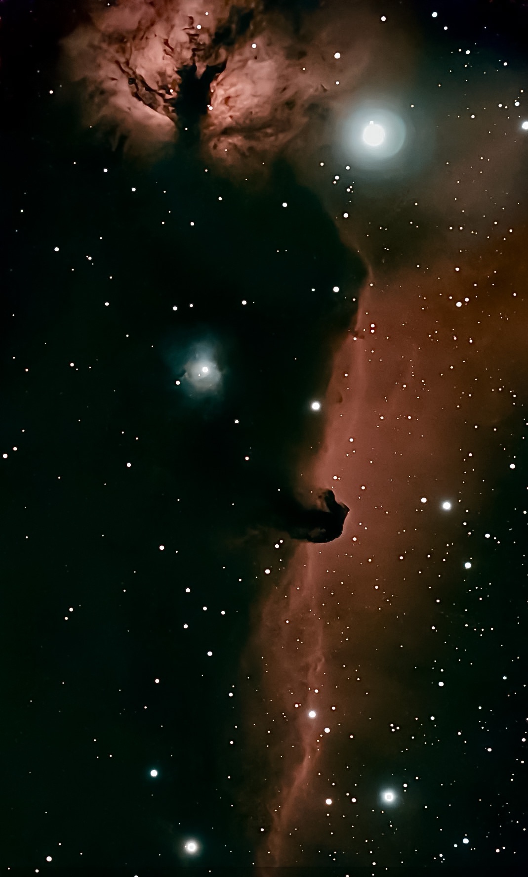 Community photo by Scott Smith | Palmetto, Florida USA