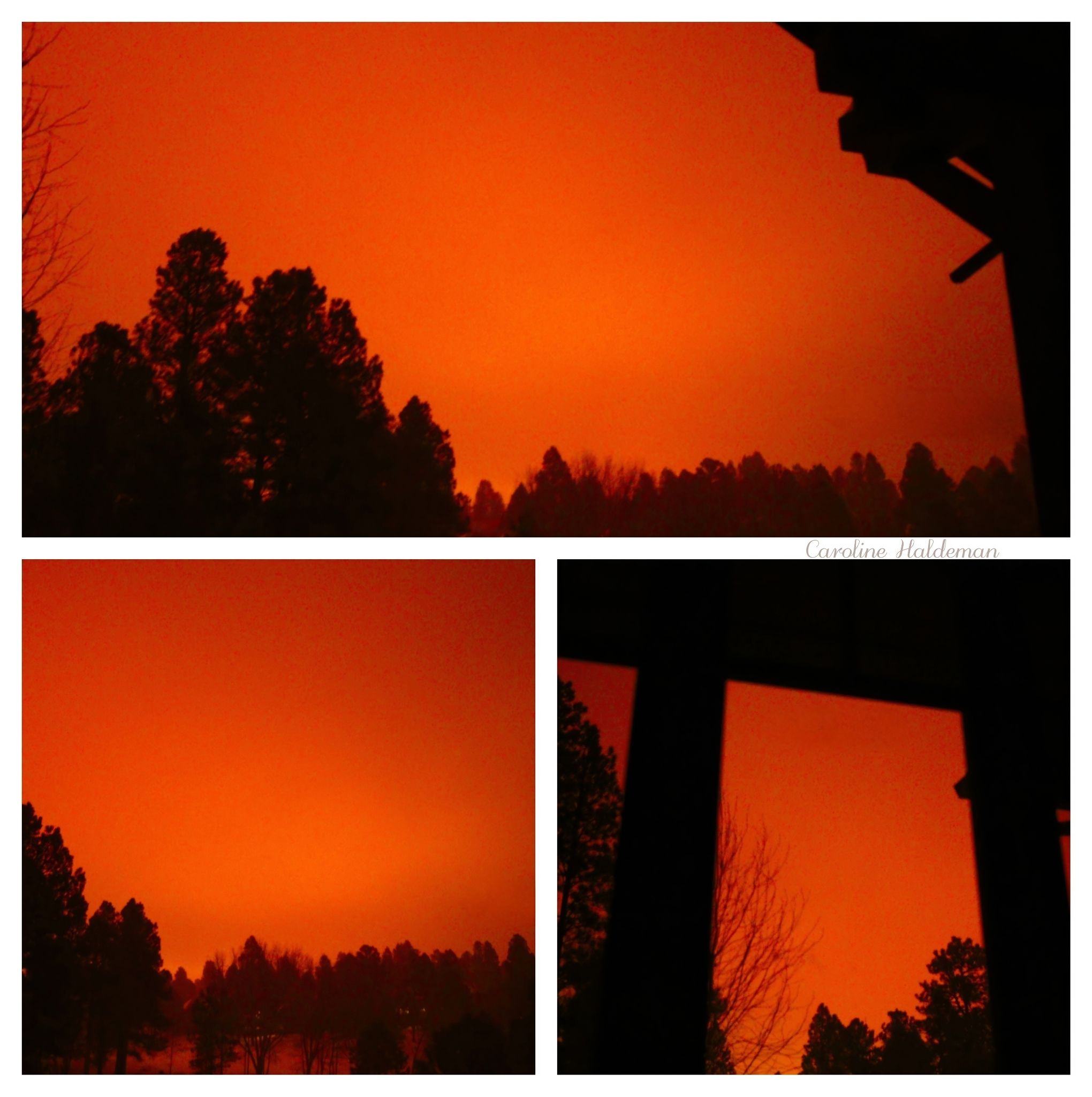 Community photo by Caroline Haldeman | Flagstaff, AZ, USA