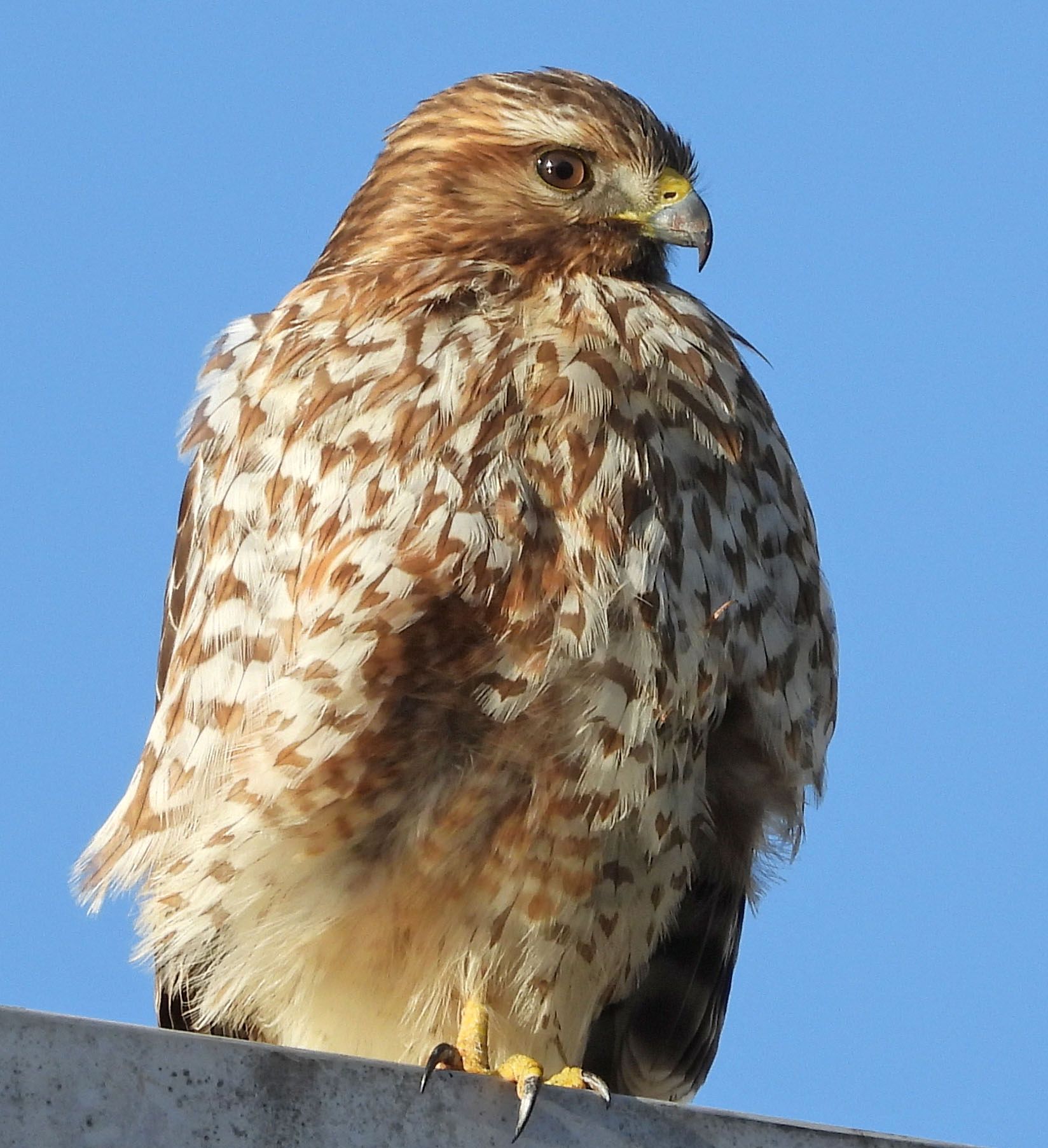 Community photo by Cecille Kennedy | Depoe Bay Harbor, Oregon