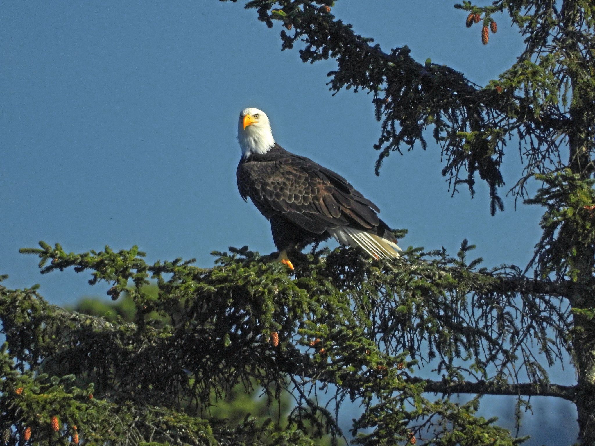 Community photo by Cecille Kennedy | Lincoln City, Oregon