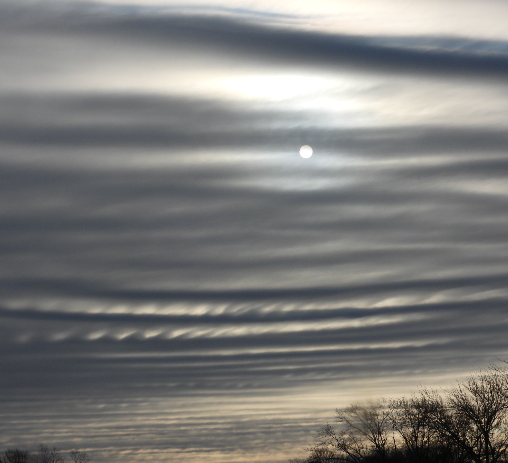 Community photo by Nina Gorenstein | West Lafayette, IN, USA