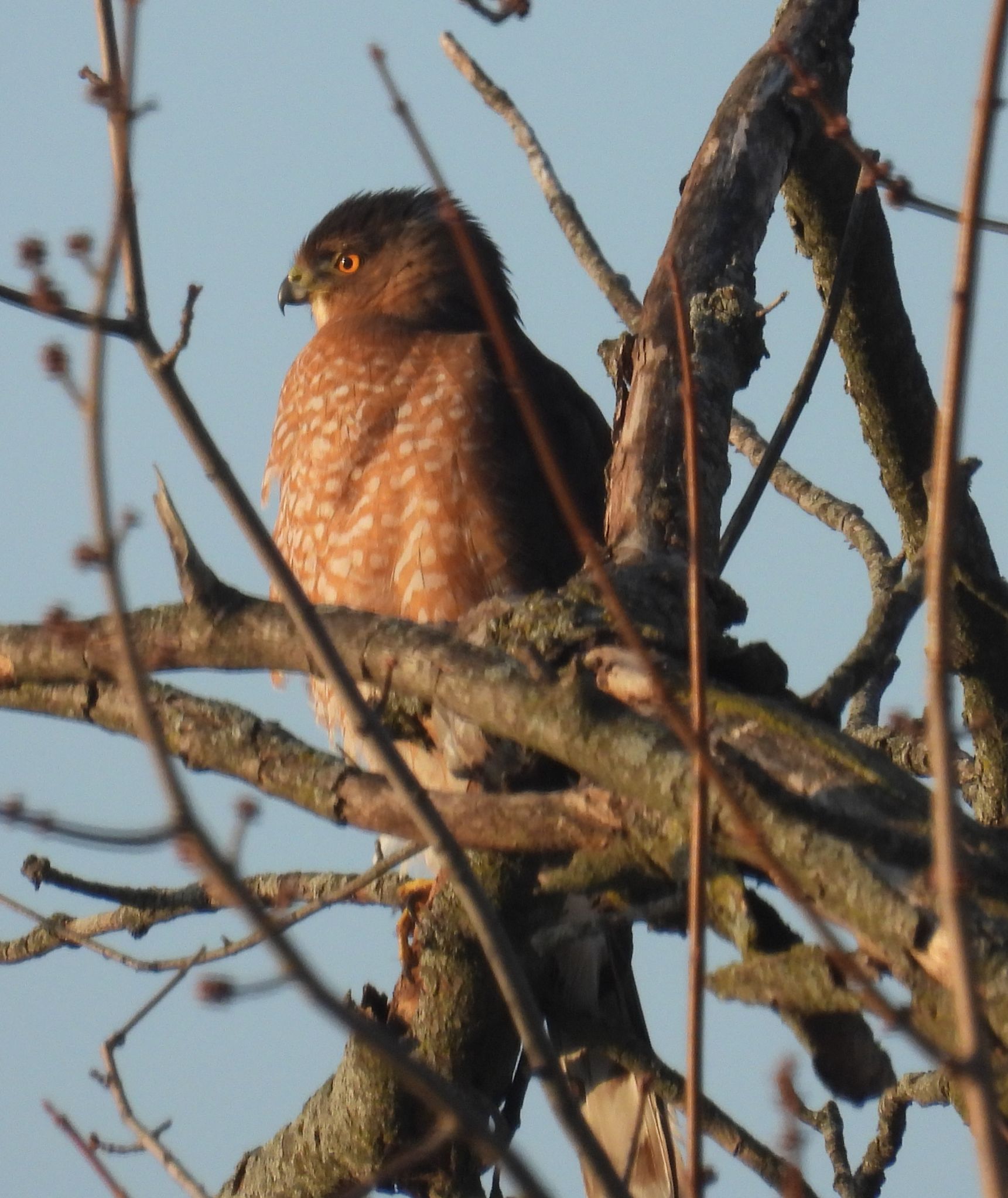 Community photo by Nina Gorenstein | West Lafayette, IN, USA