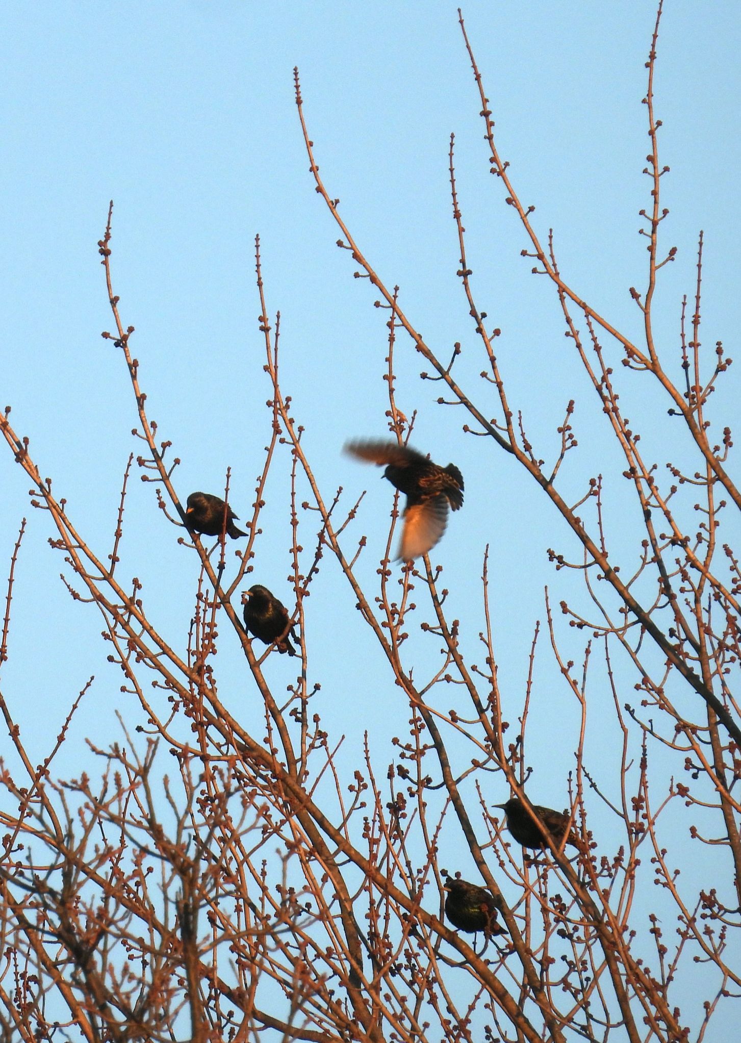 Community photo by Nina Gorenstein | West Lafayette, IN, USA