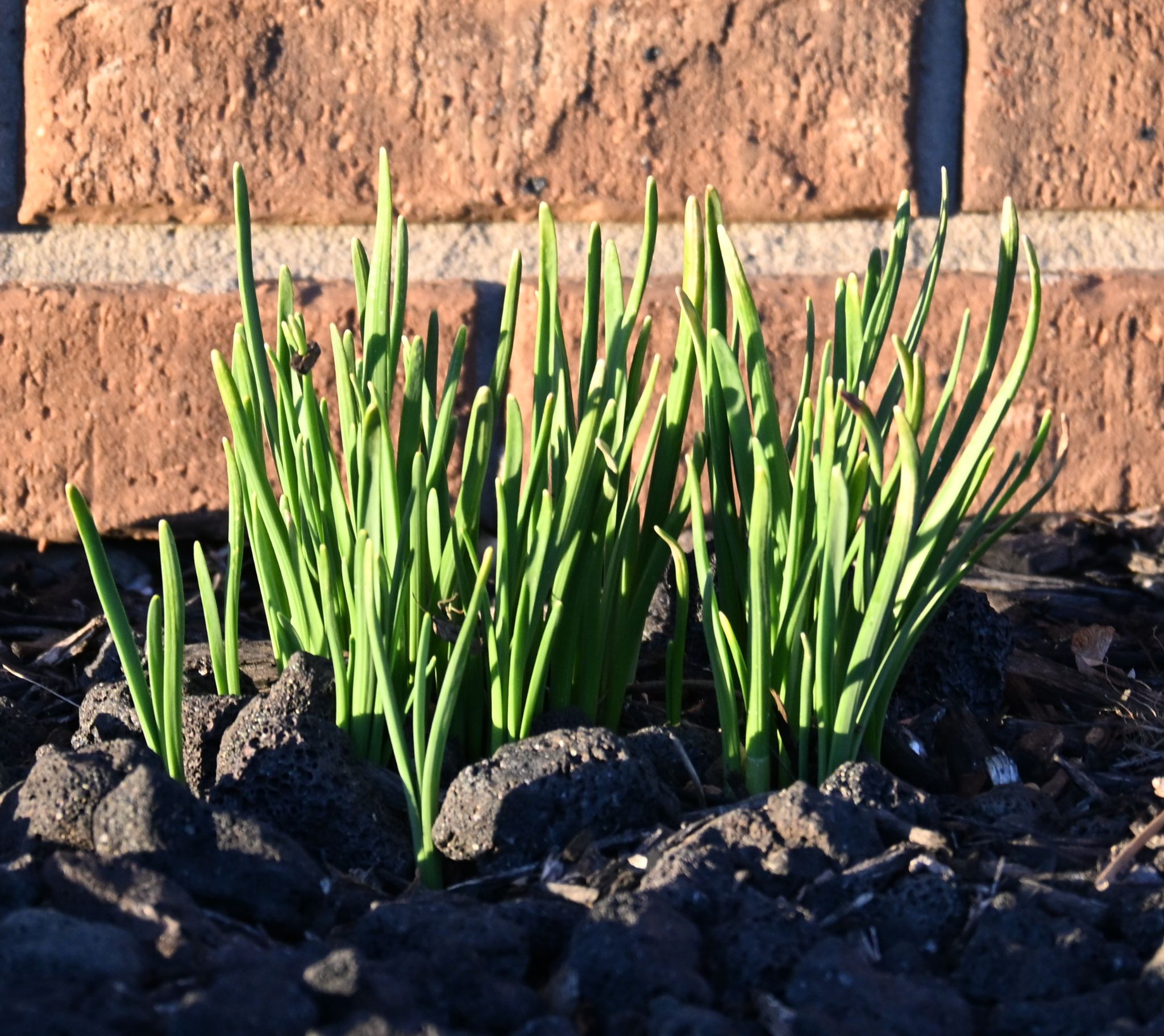 Community photo by Nina