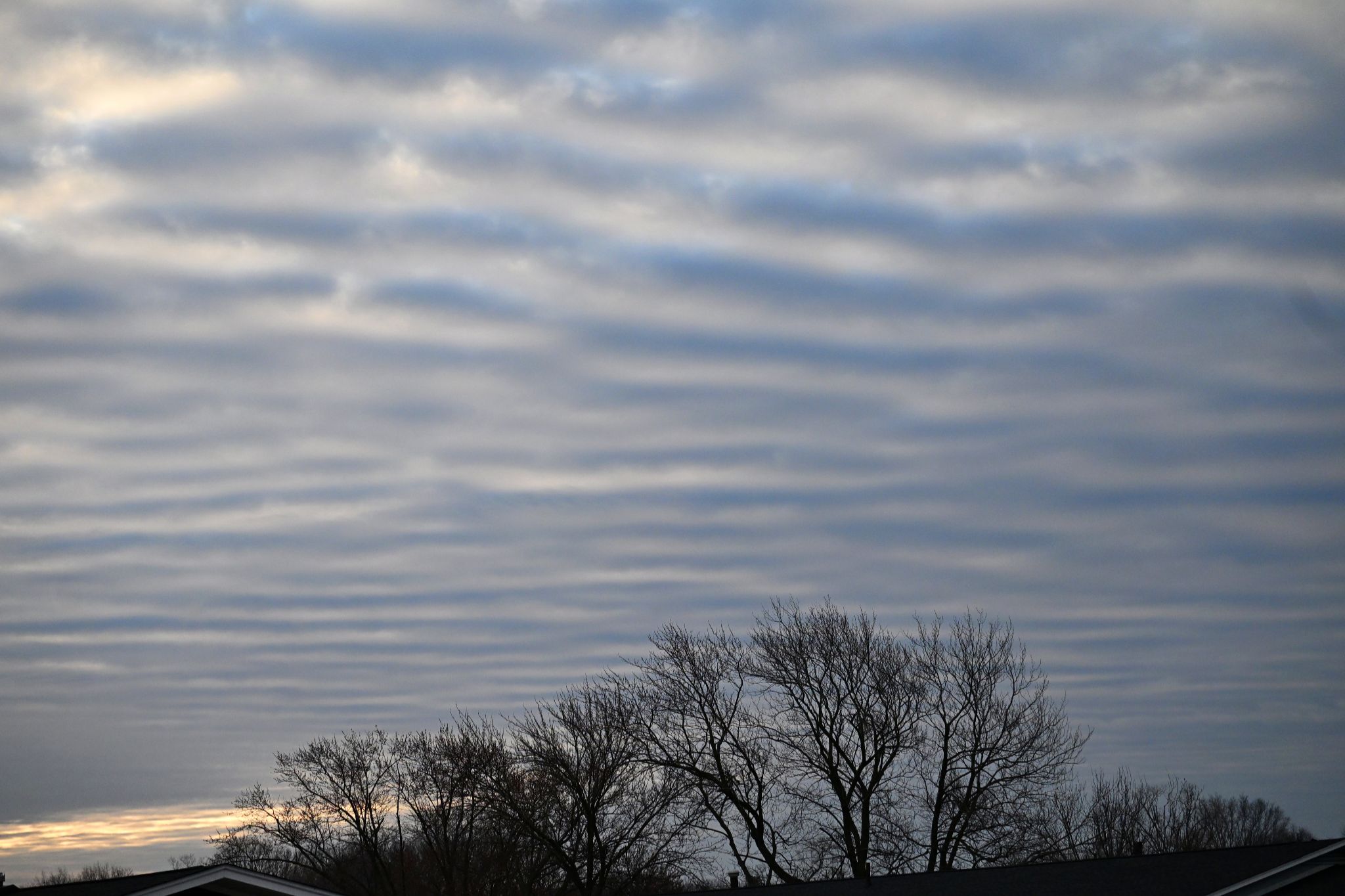 Community photo by Nina Gorenstein | West Lafayette, IN, USA