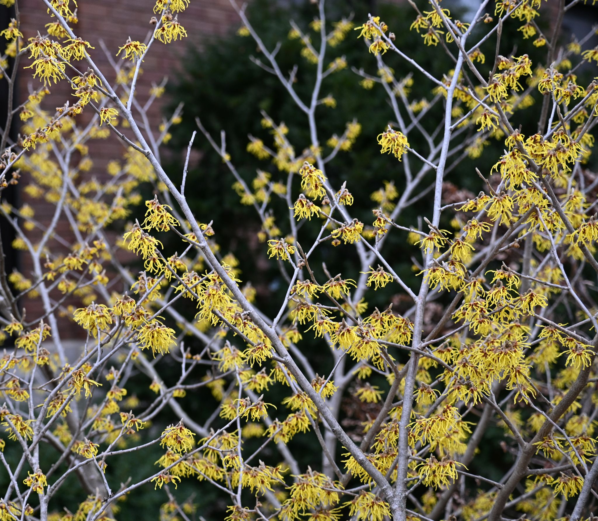 Community photo by Nina