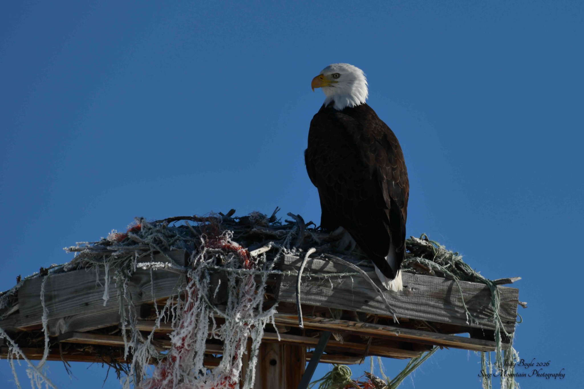 Community photo by Judy Boyle | Wisdom, Montana USA