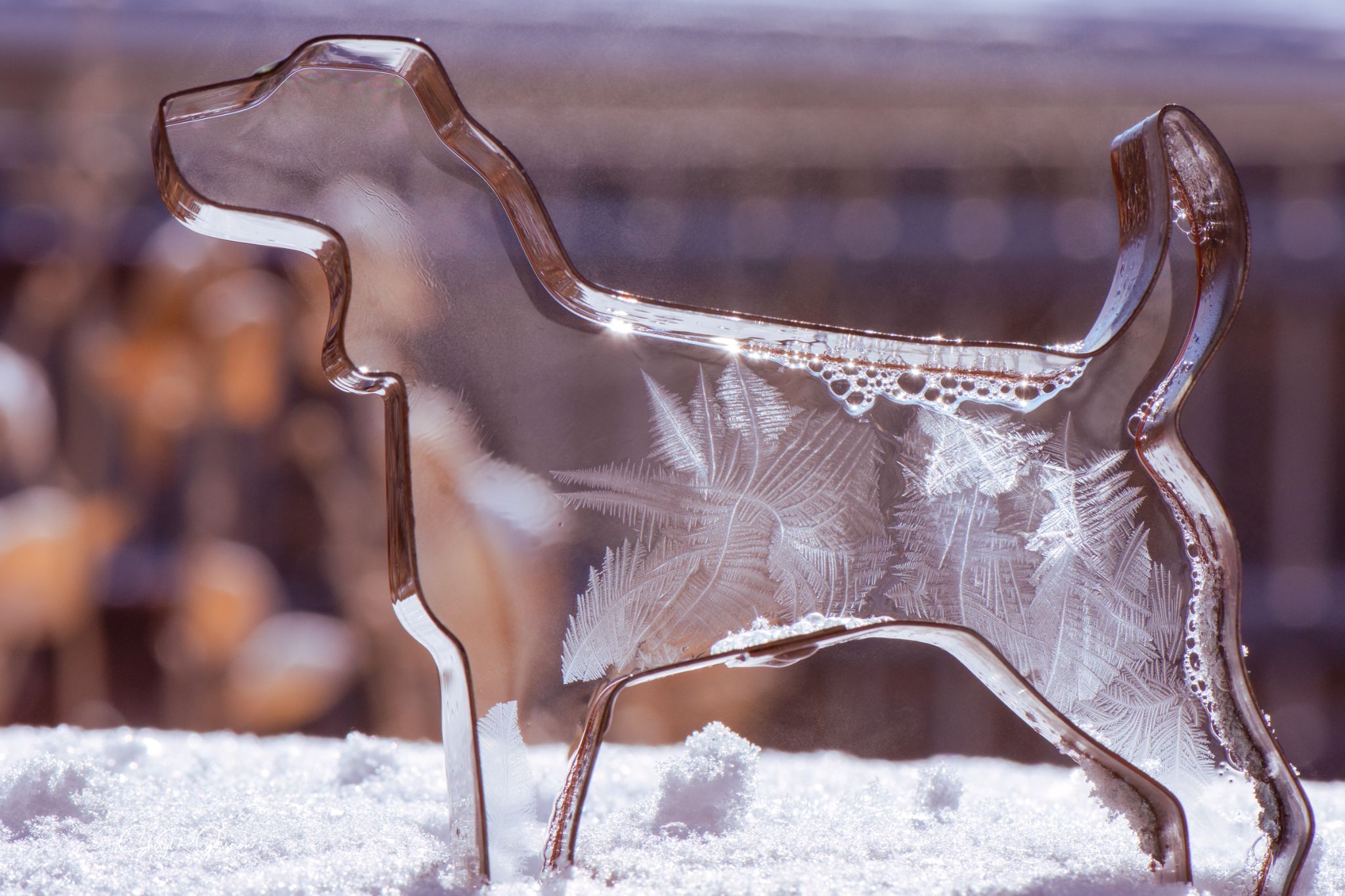 Community photo by Sheryl R.