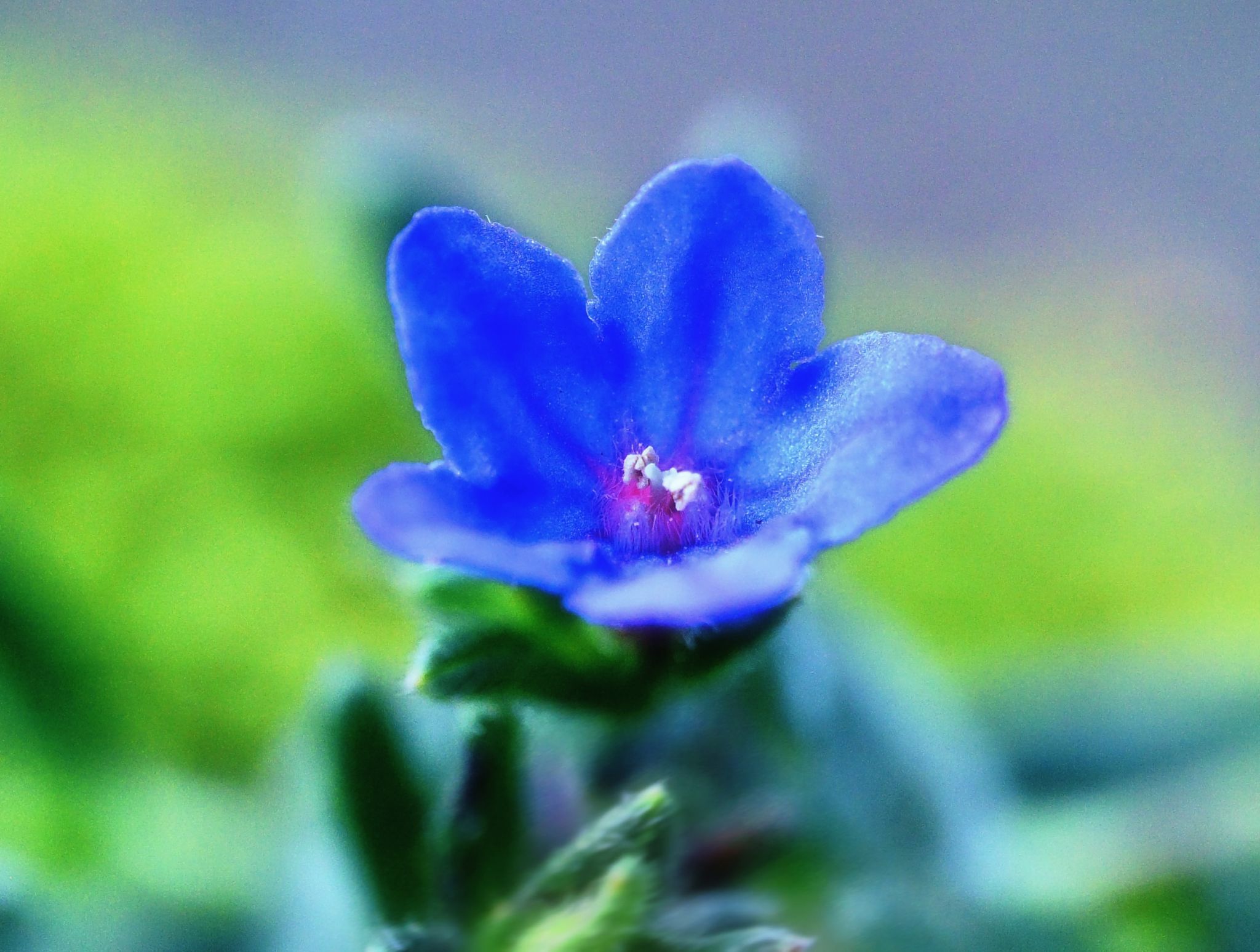 Community photo by Cecille Kennedy | Depoe Bay, Oregon