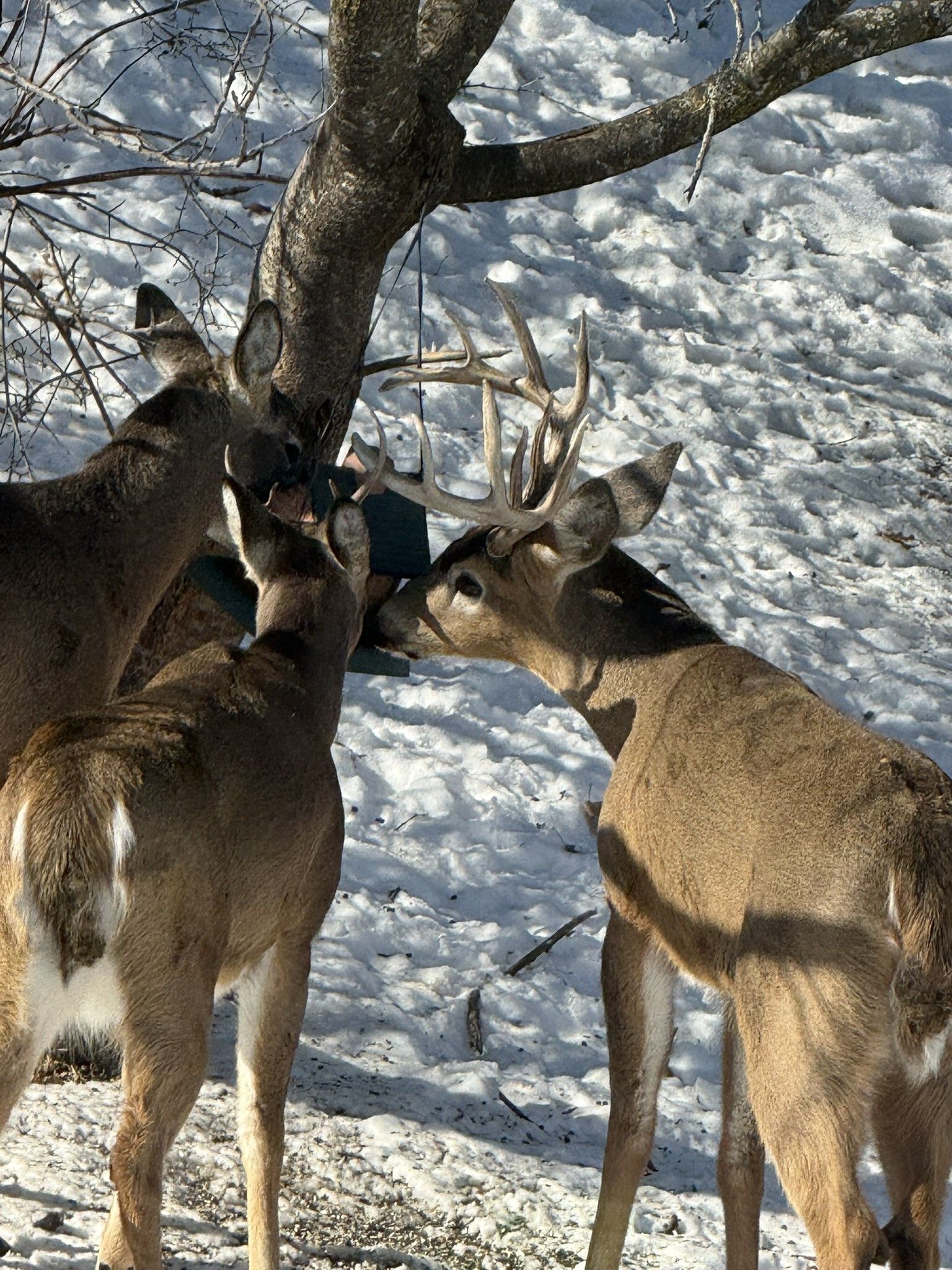 Community photo by Asha Prasad | Minnesota, USA