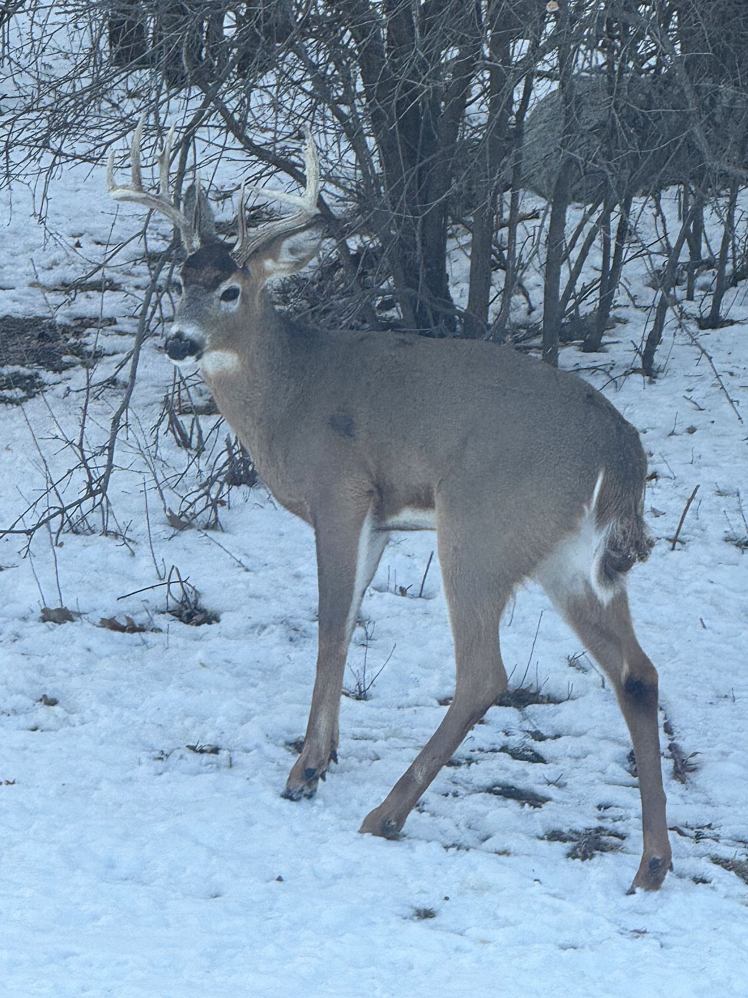Community photo by Asha Prasad | Minnesota, USA