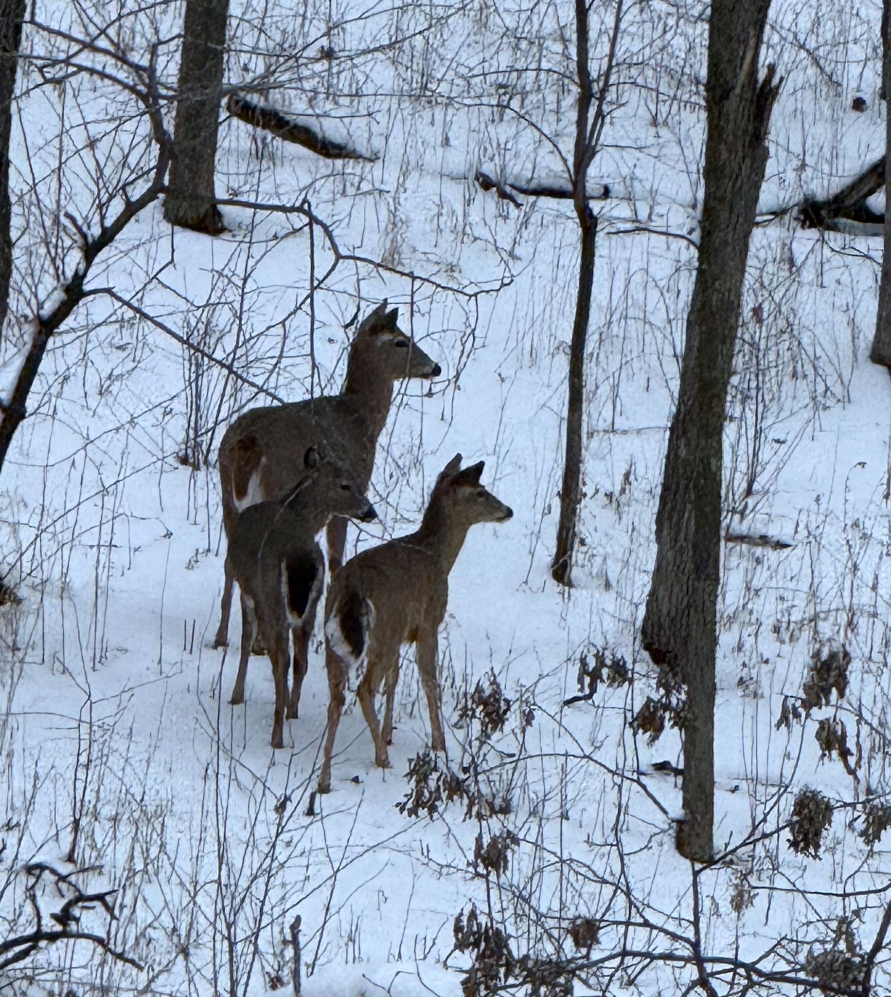 Community photo by Asha Prasad | Minnesota, USA