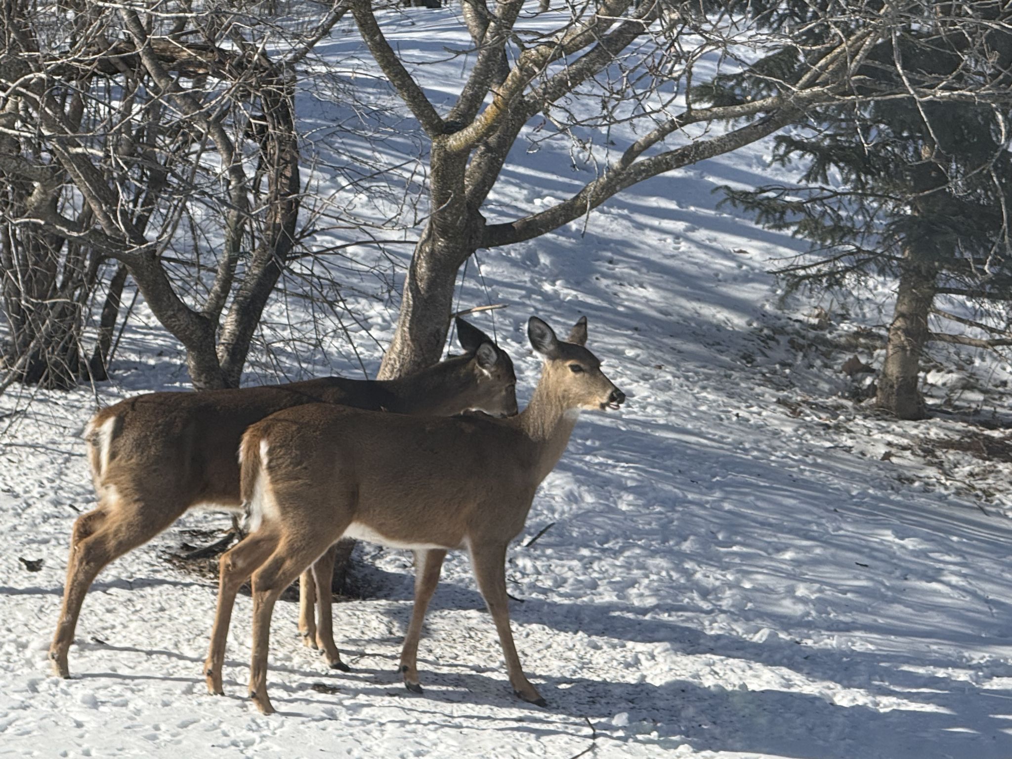 Community photo by Asha Prasad | Minnesota, USA