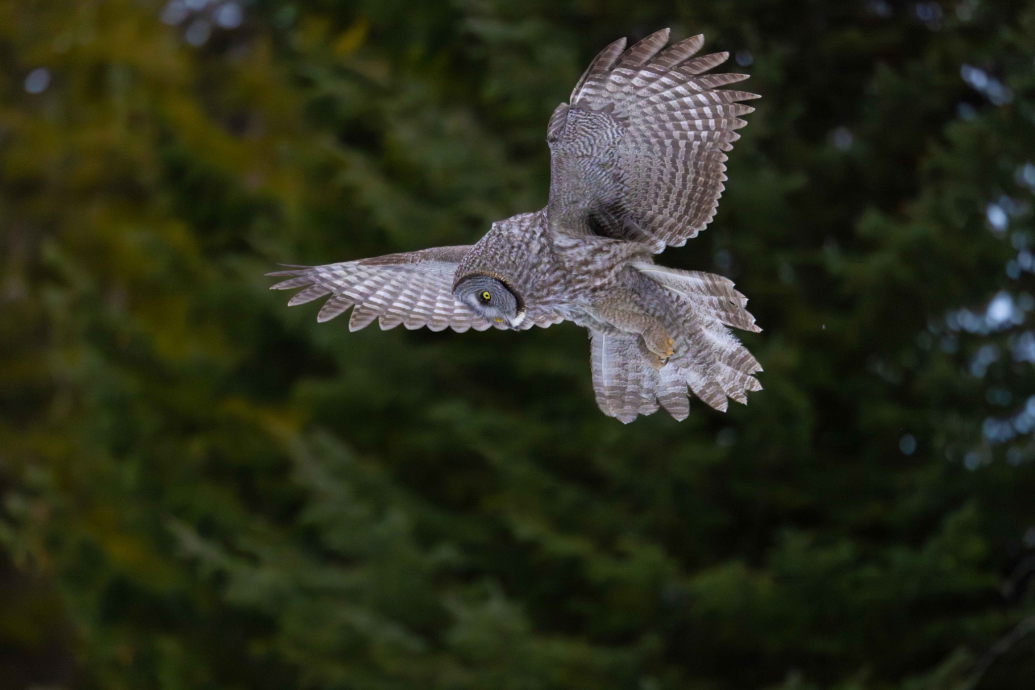 Community photo by Tim