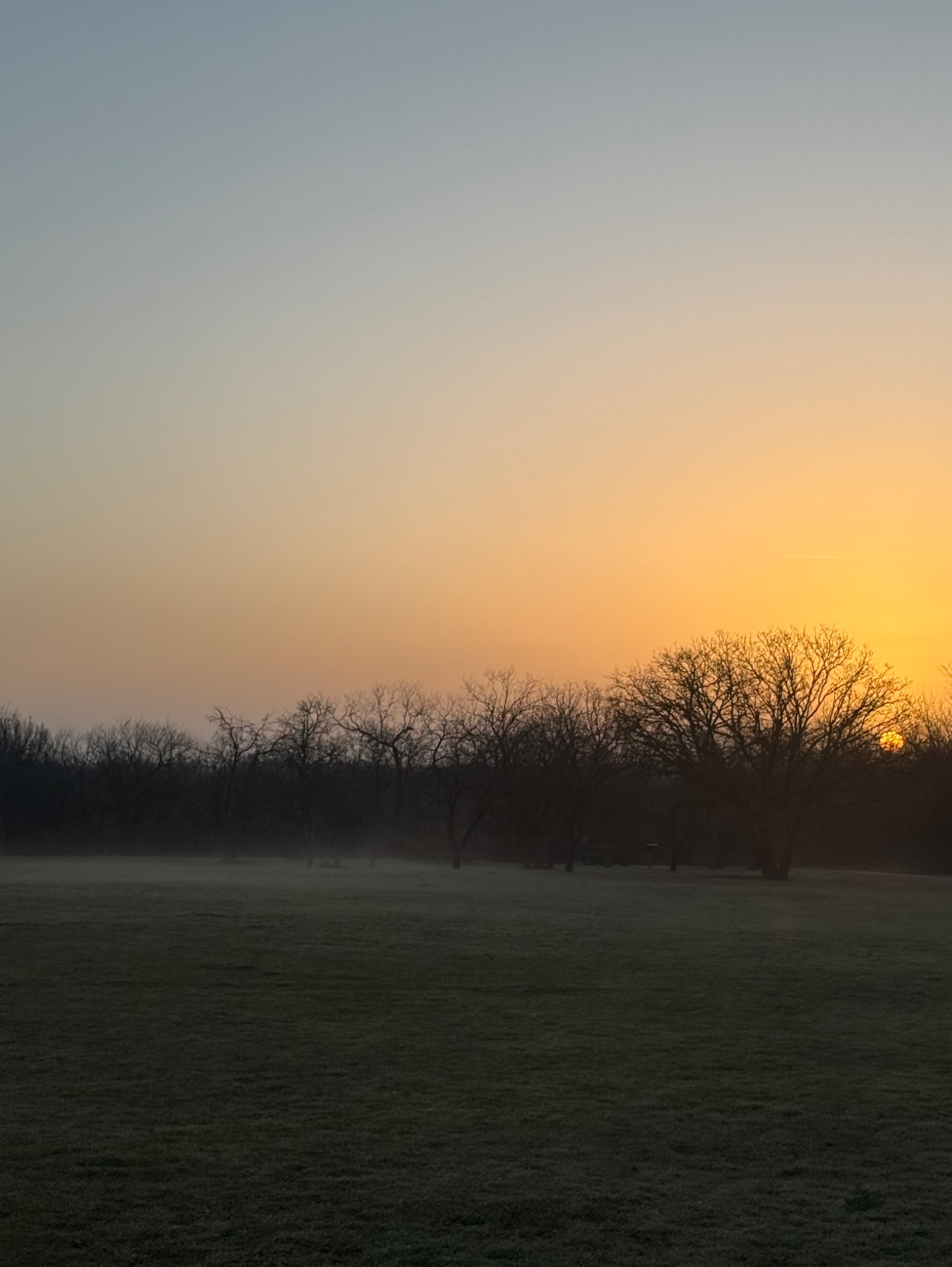 Community photo by Frank Lu | Arlington, Texas, USA