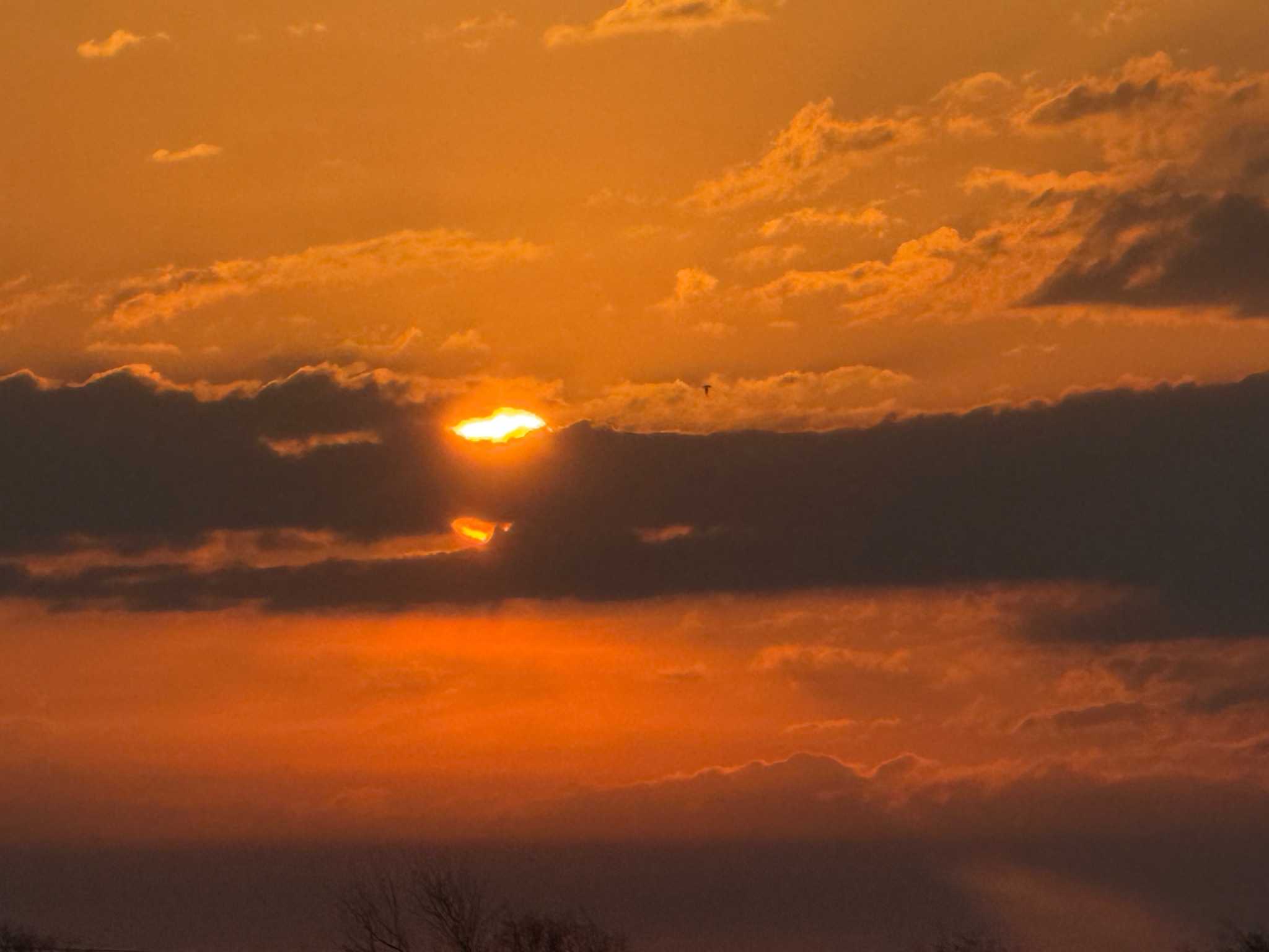 Community photo by Frank Lu | Arlington, Texas, US