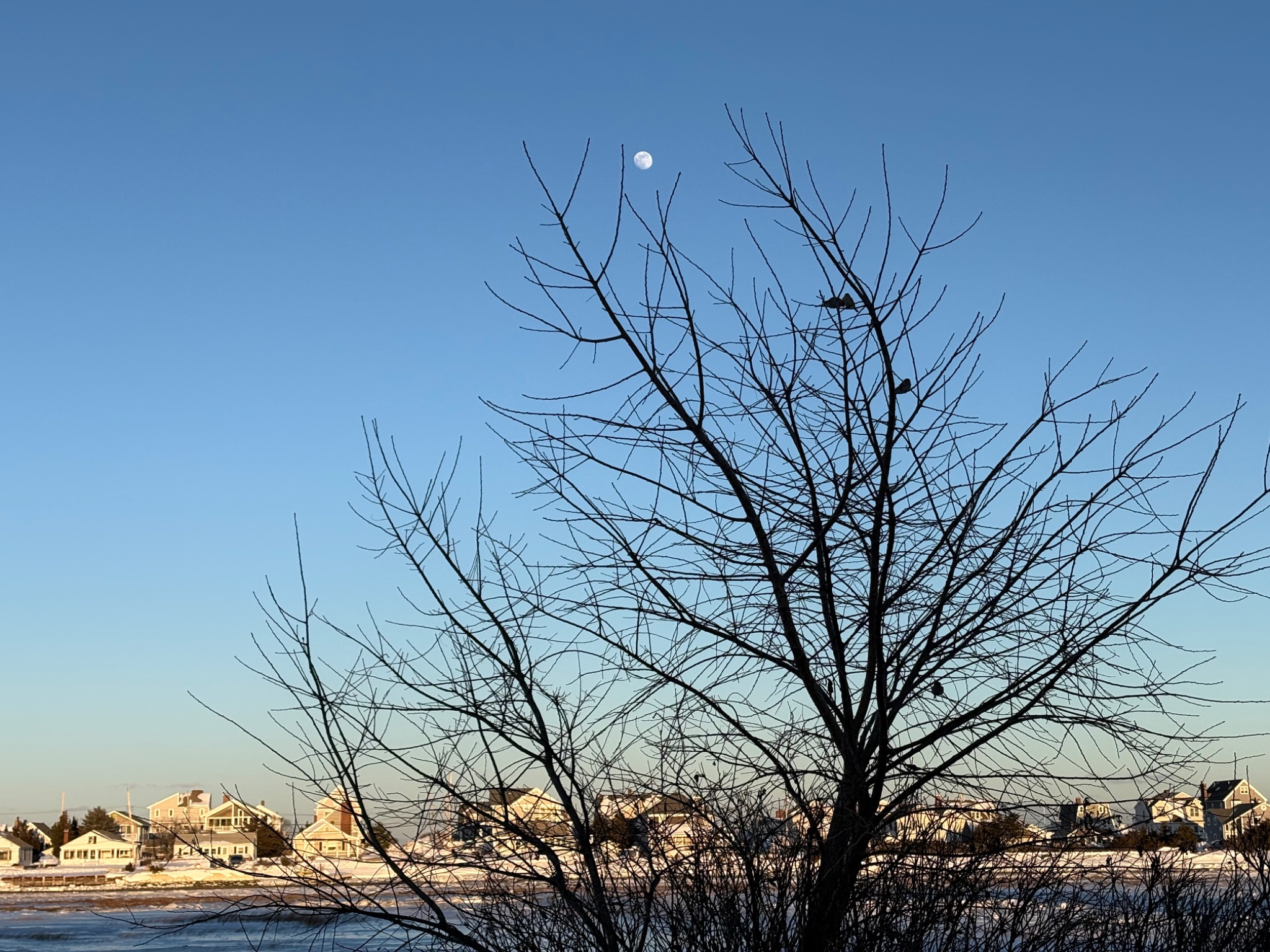 Community photo by Alan Rosenberg | Marshfield MA  USA
