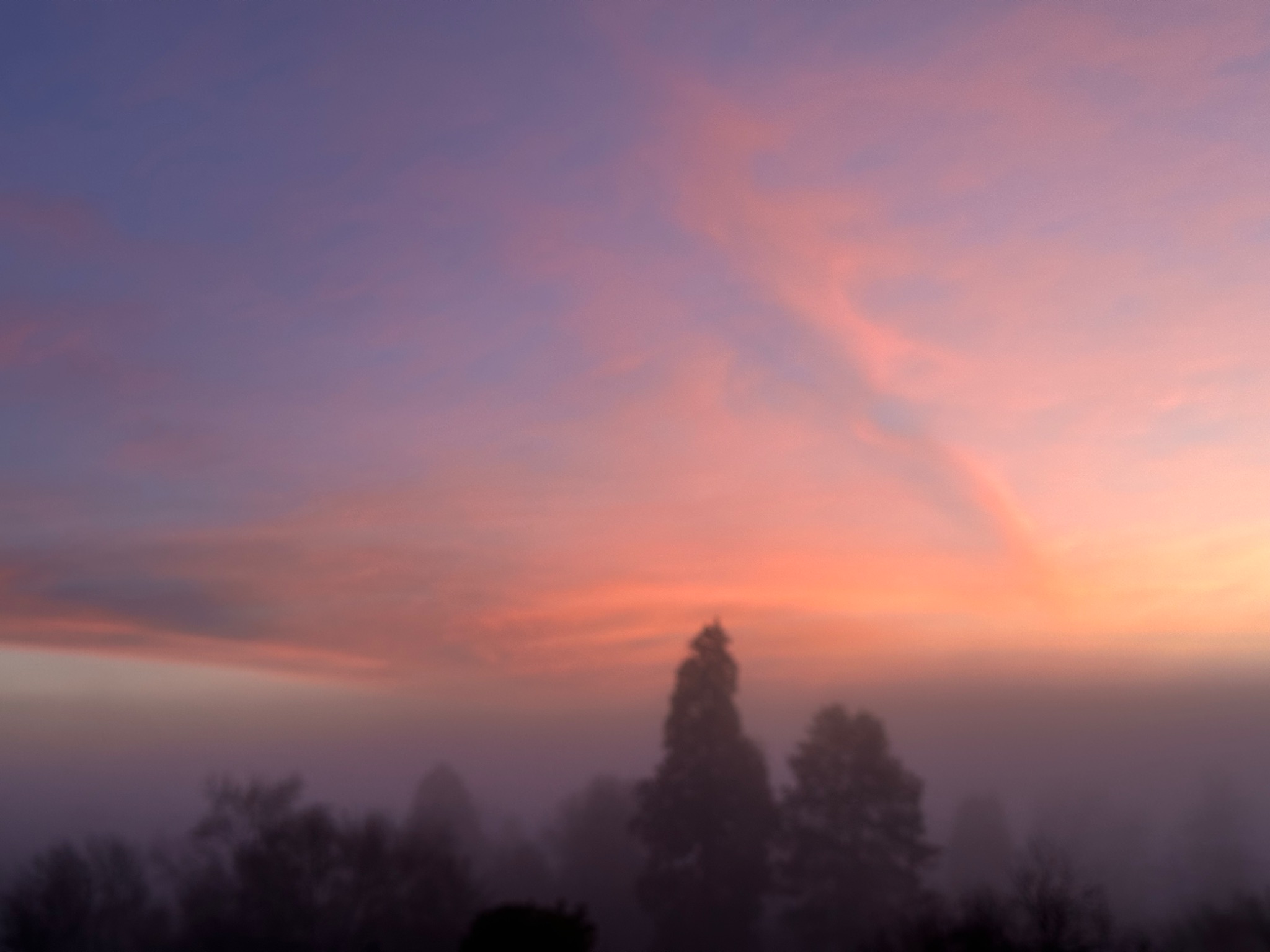 Community photo by Victoria