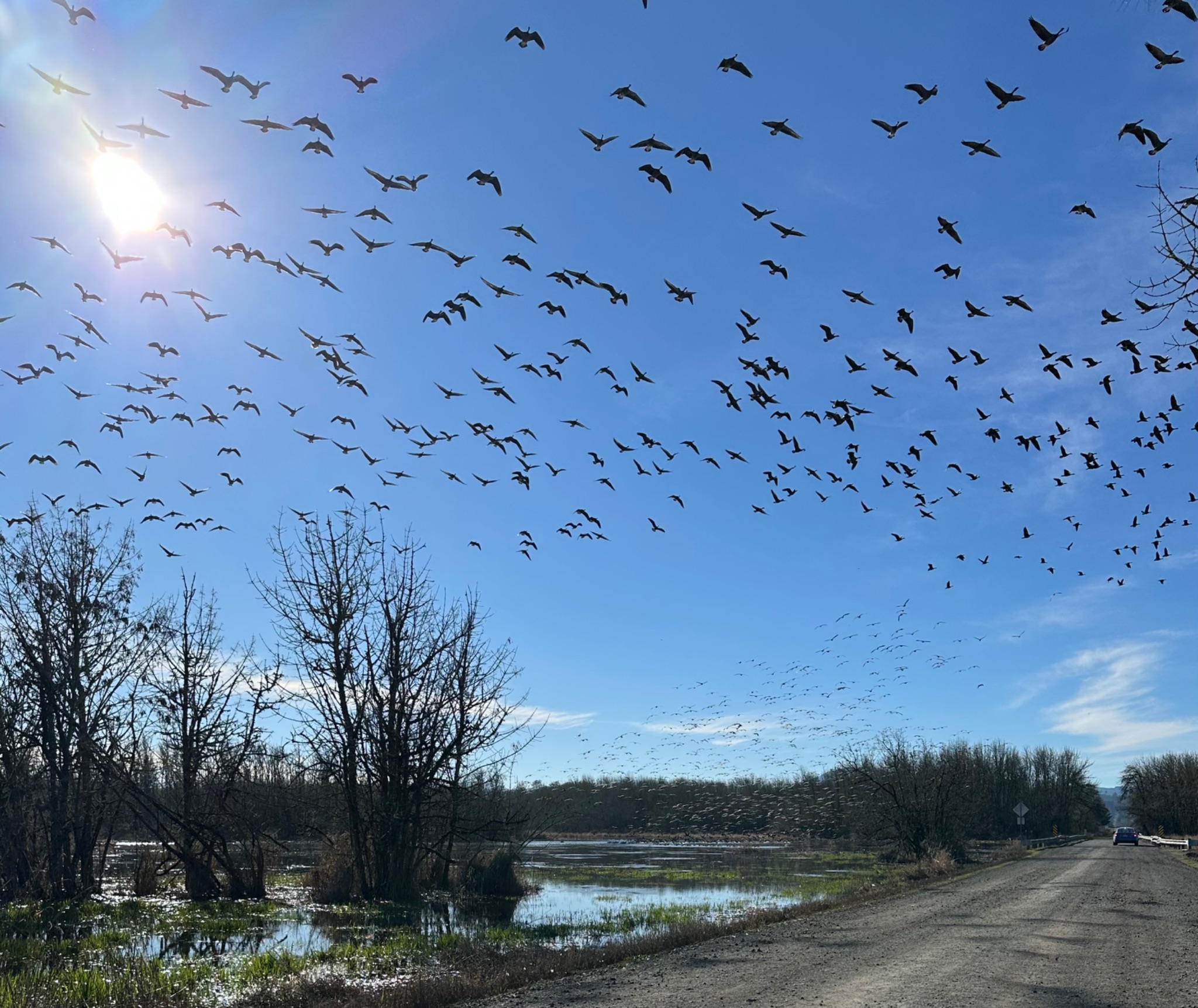 Community photo by Victoria